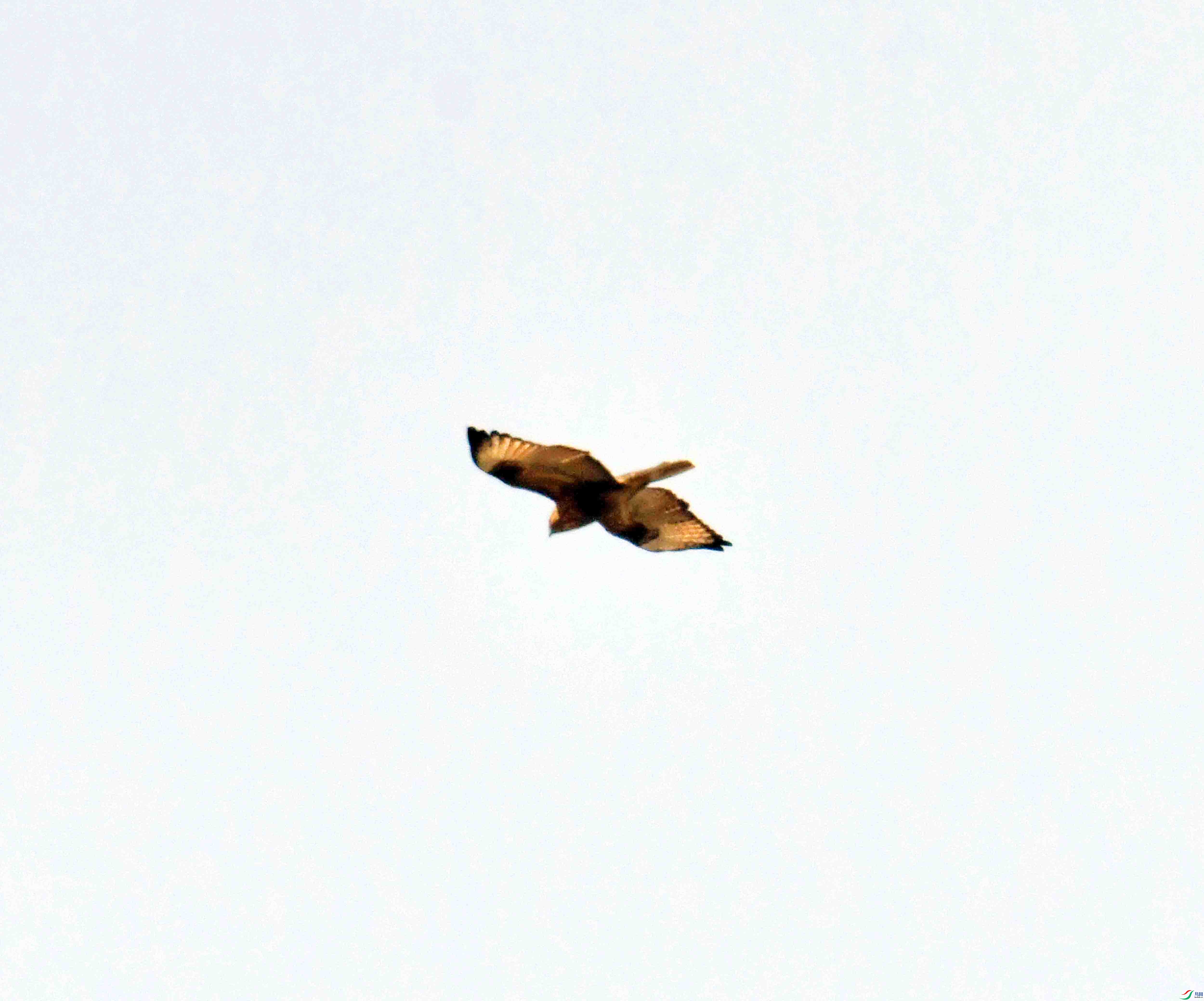 DSC_7793.JPG