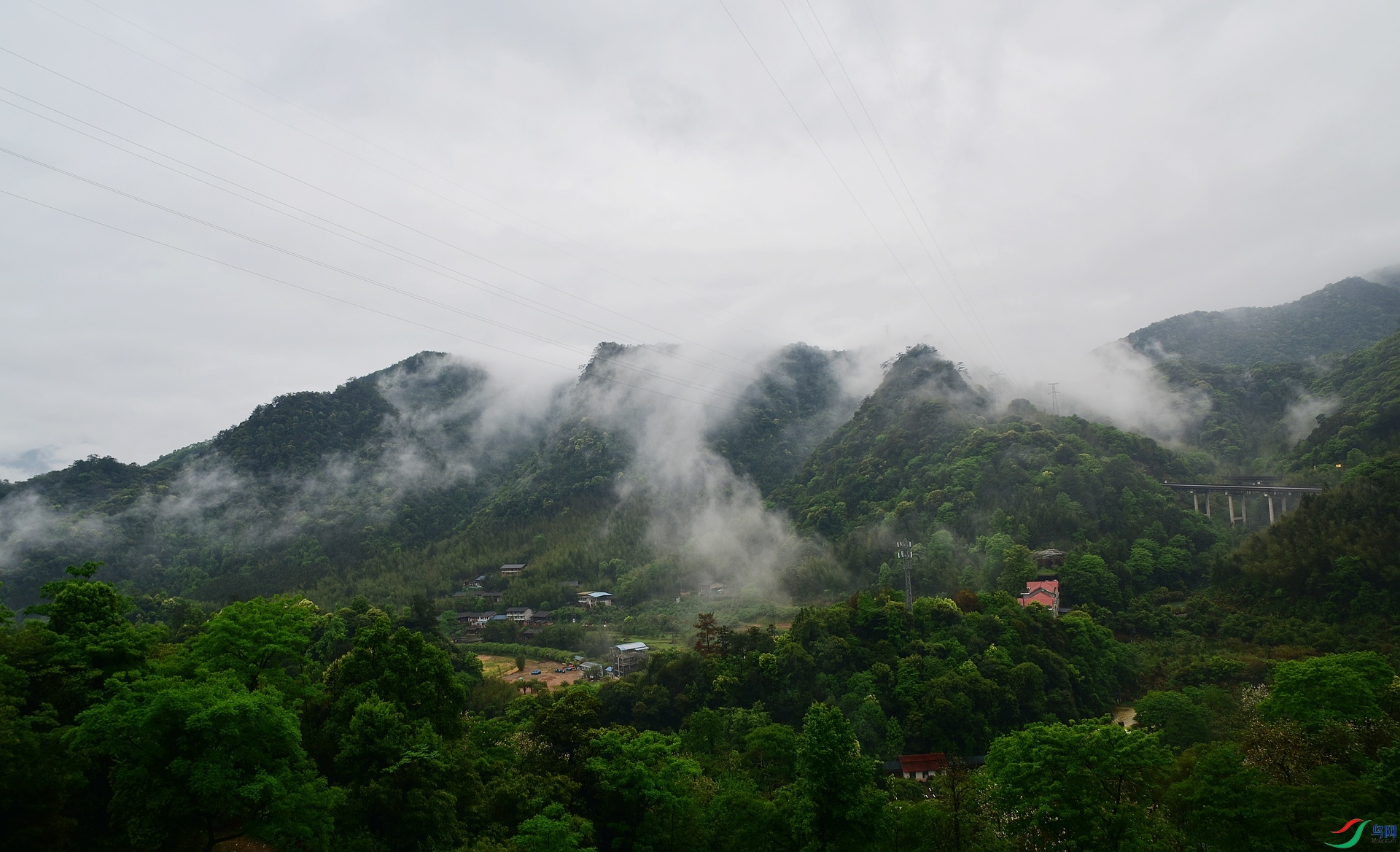 D8I_5339.jpg