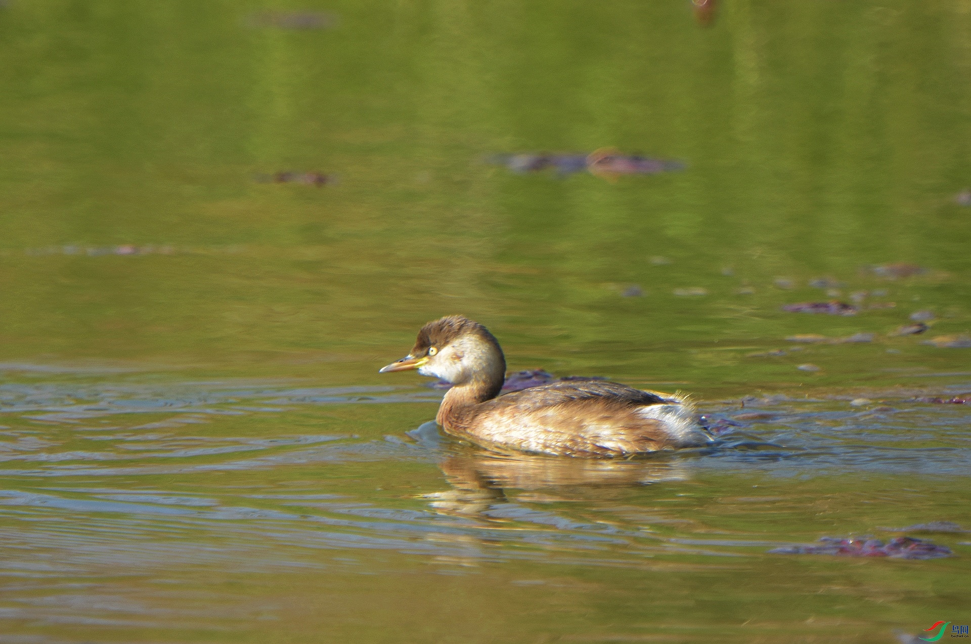 D72_5122.jpg