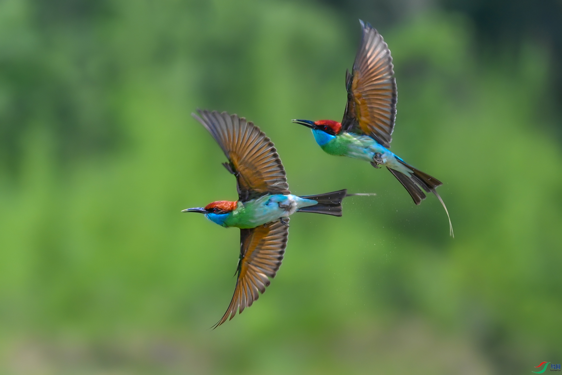����DSC_1144.jpg