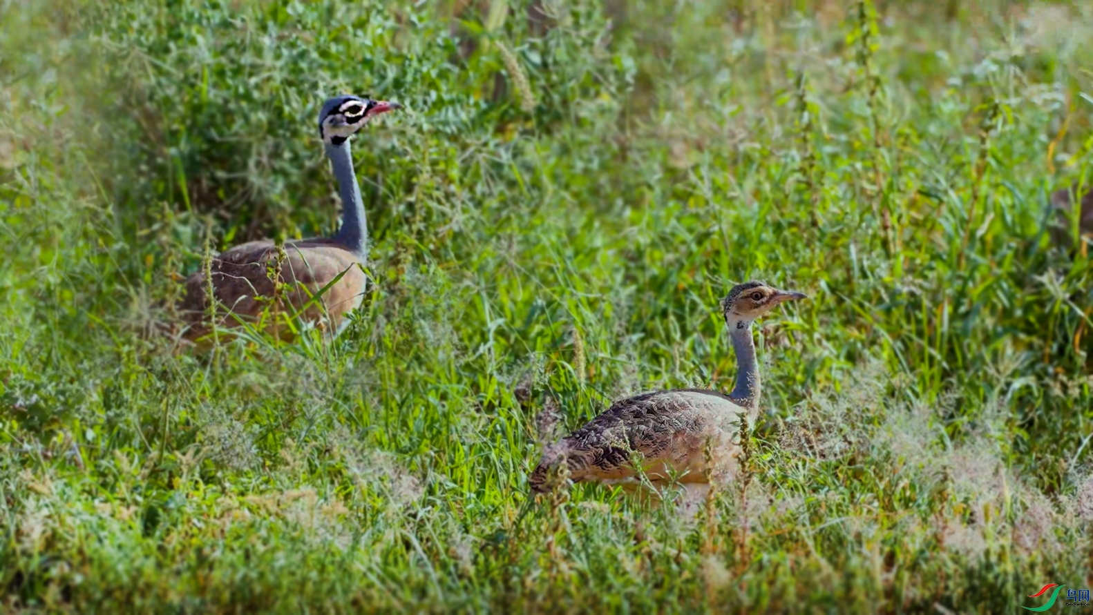 ΢��ͼƬ_20240402093103 ����.jpg