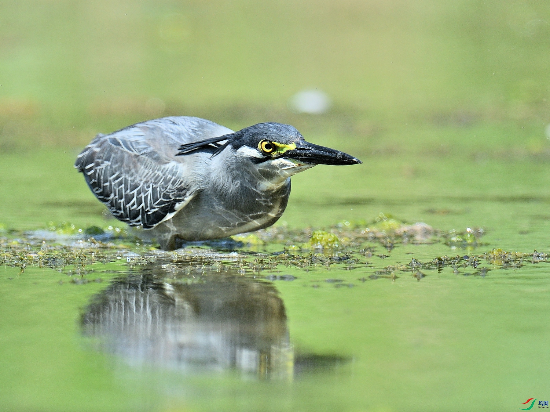 DSC_3788.JPG