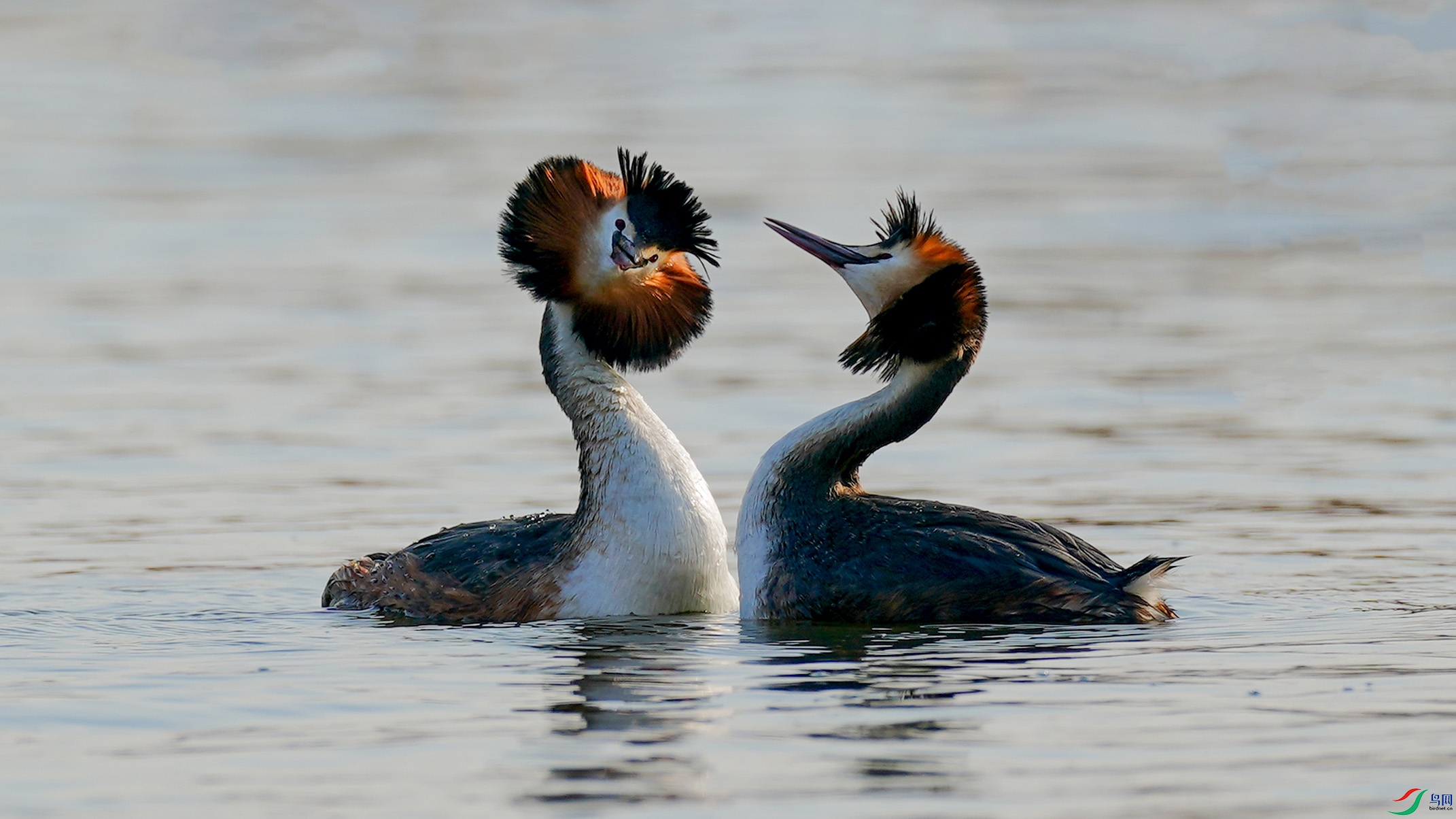 DSC06543A ����.jpg