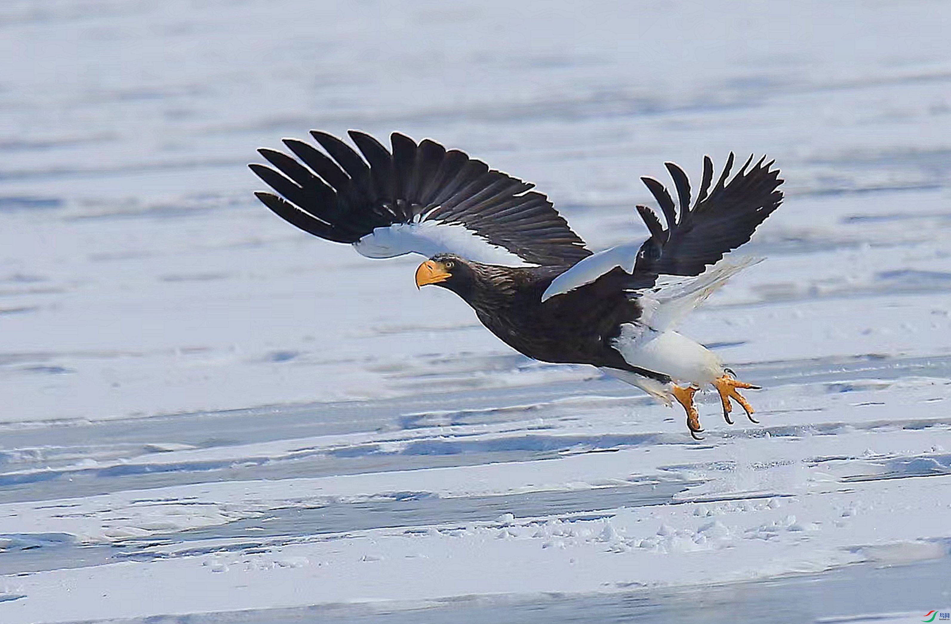 DSC_3696.JPG