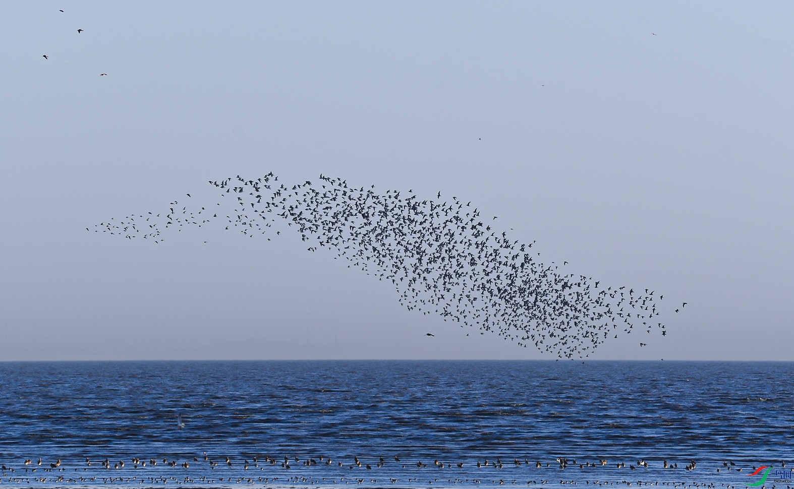 DSC_4925f.jpg