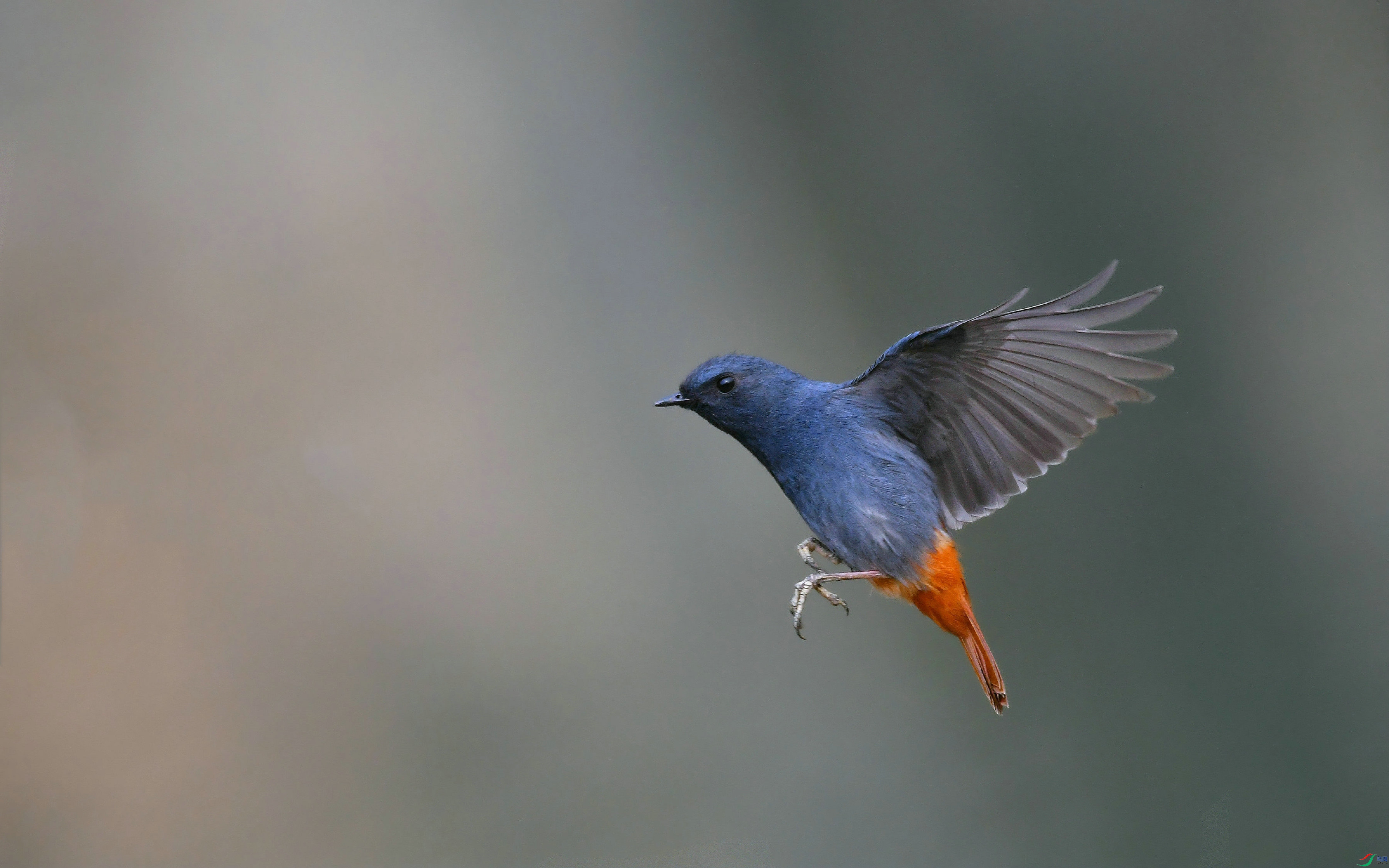 DSC_9112.JPG
