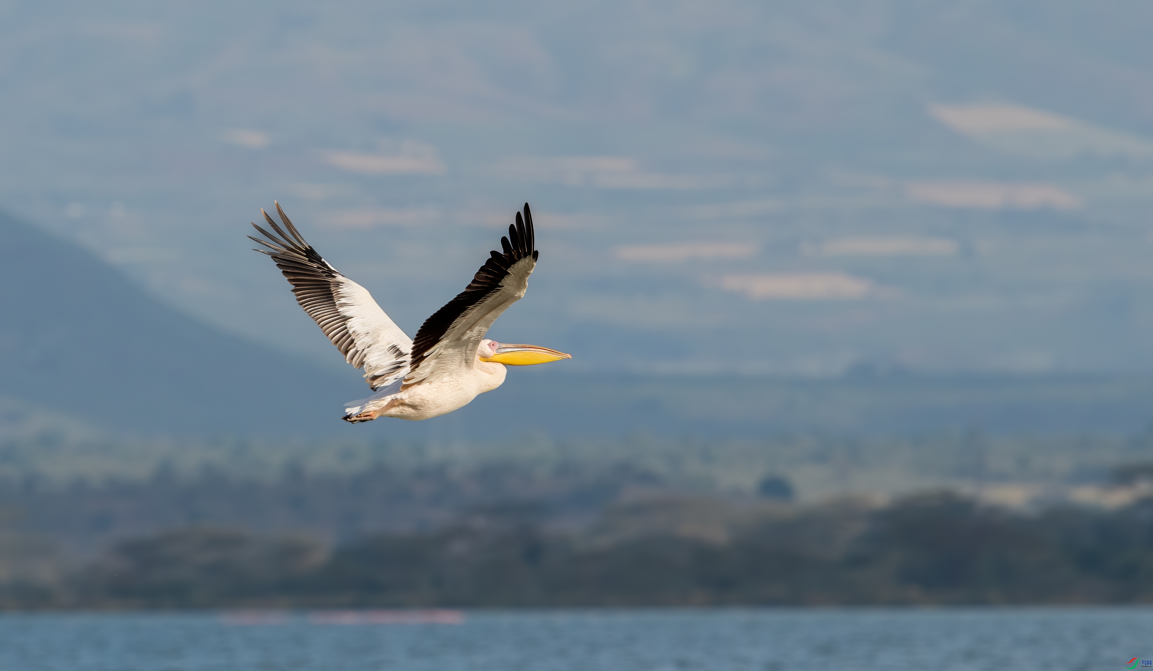 DSC_1038-1.jpg