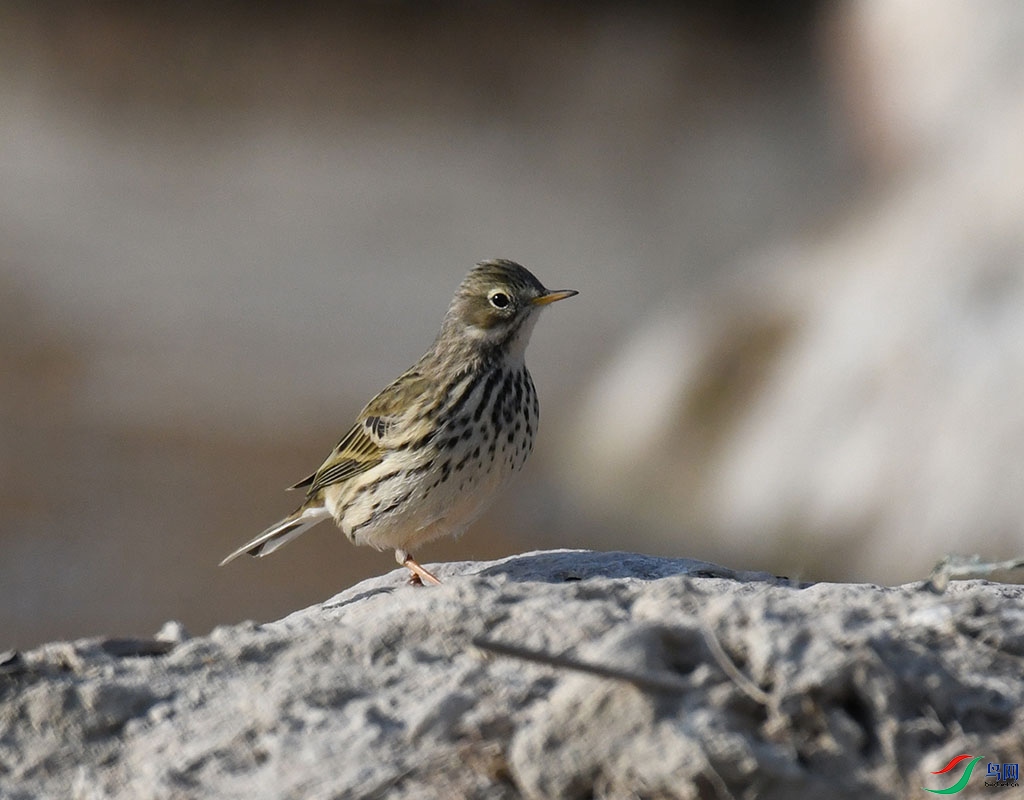 03.jpg