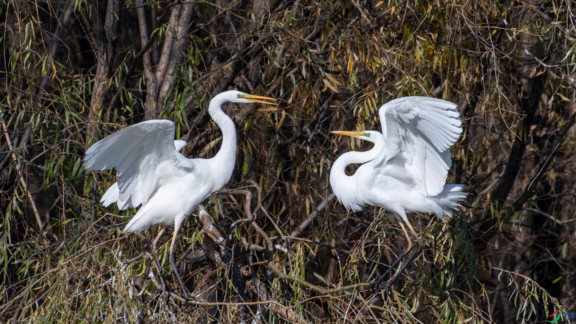 DSC_1758.jpg