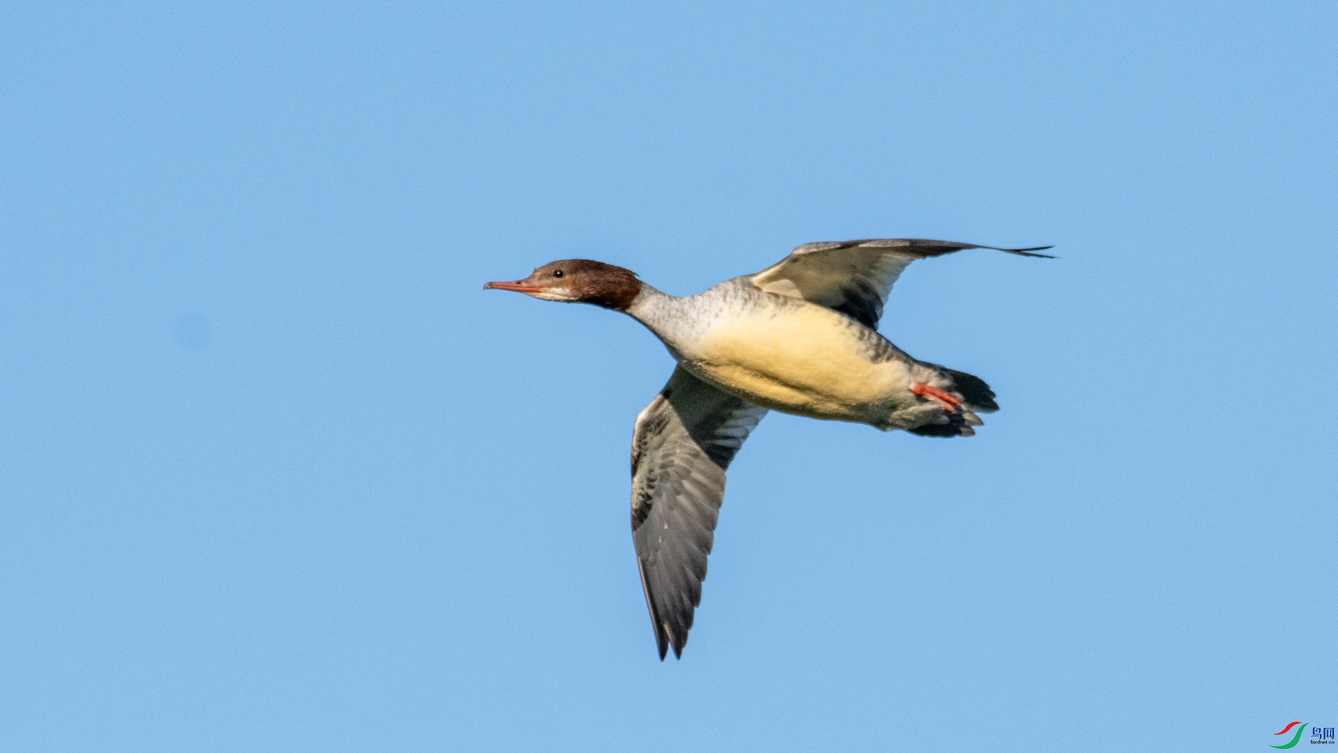 DSC_2725.jpg