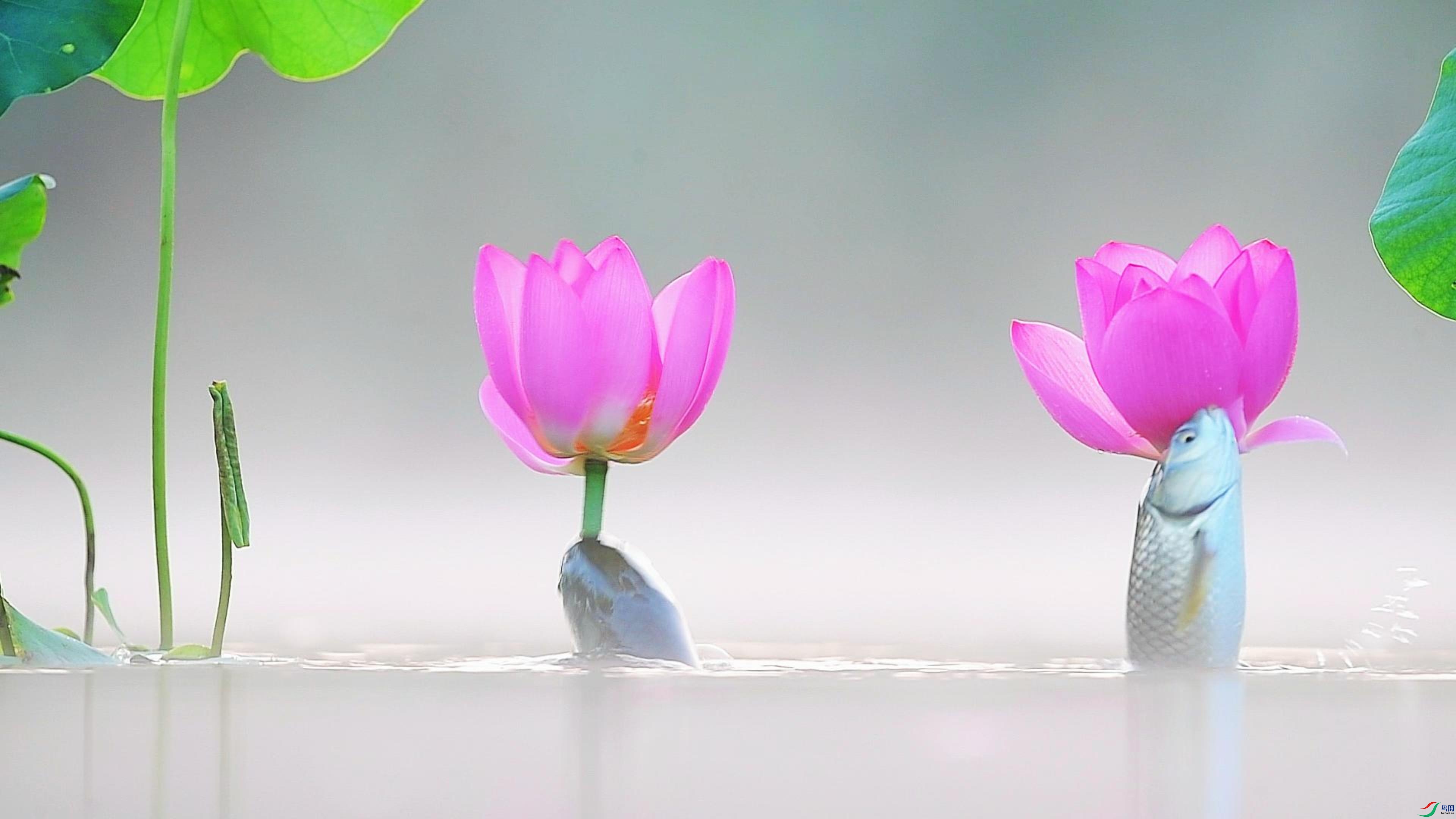 4��8�� (3)-����.jpg