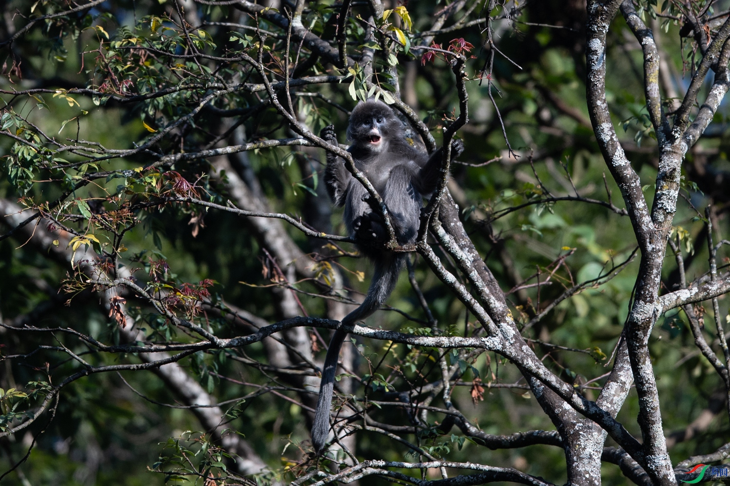 DSC_3171.JPG