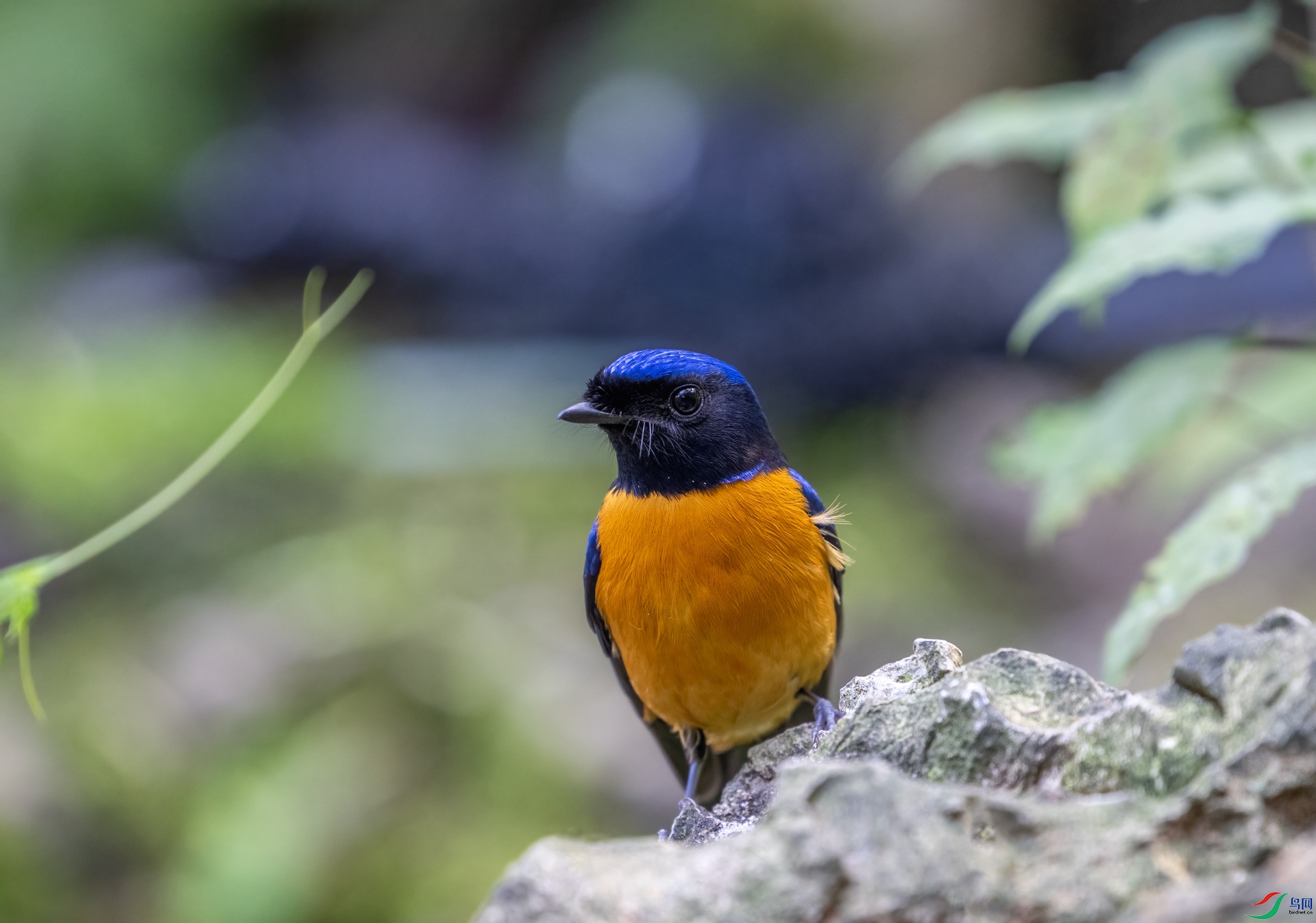 DSC_6763.jpg
