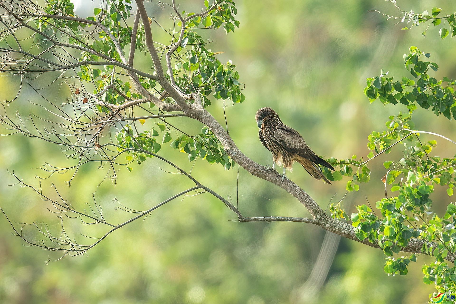DSC_7205.jpg
