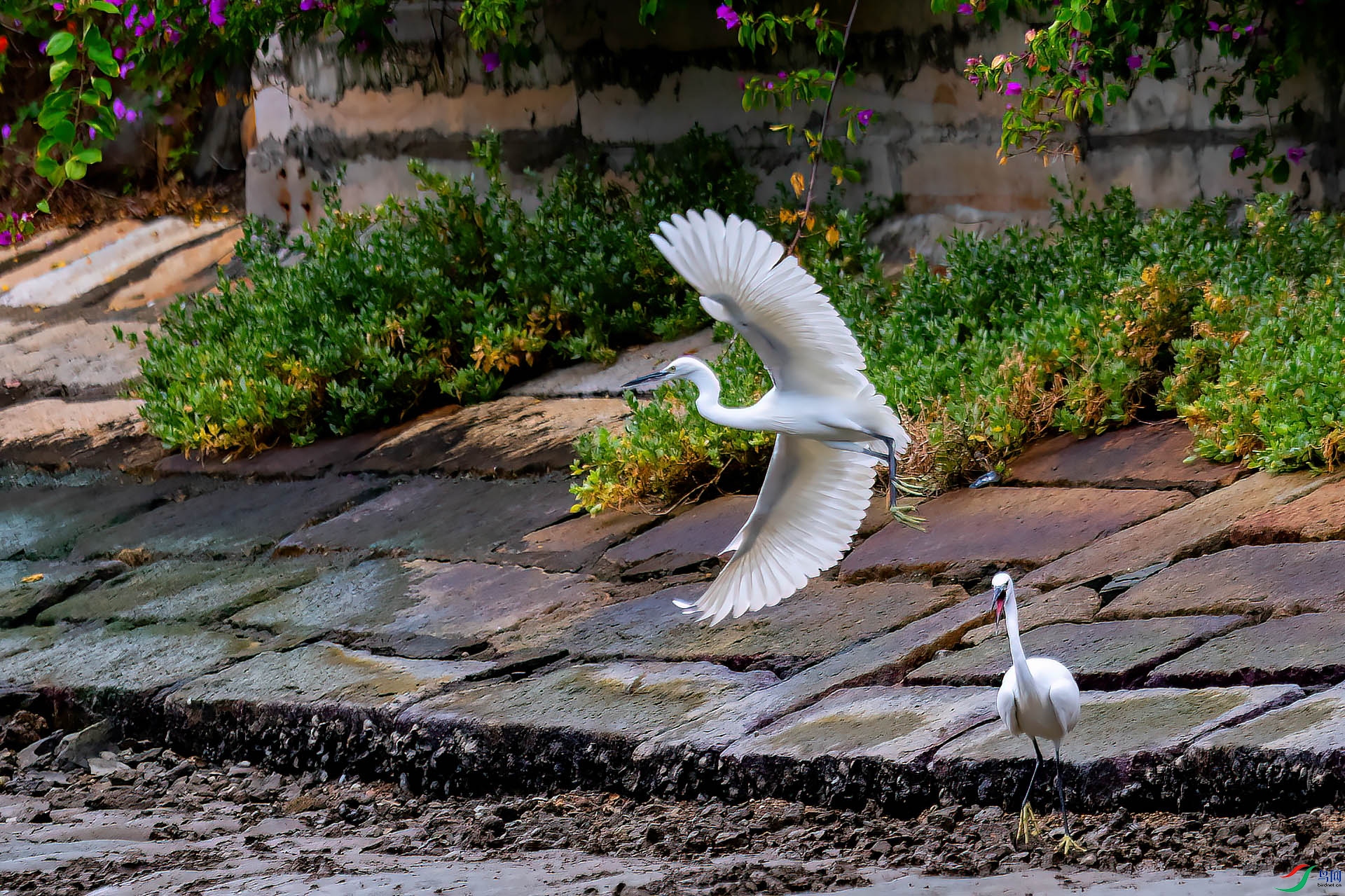 DSC_0009.jpg