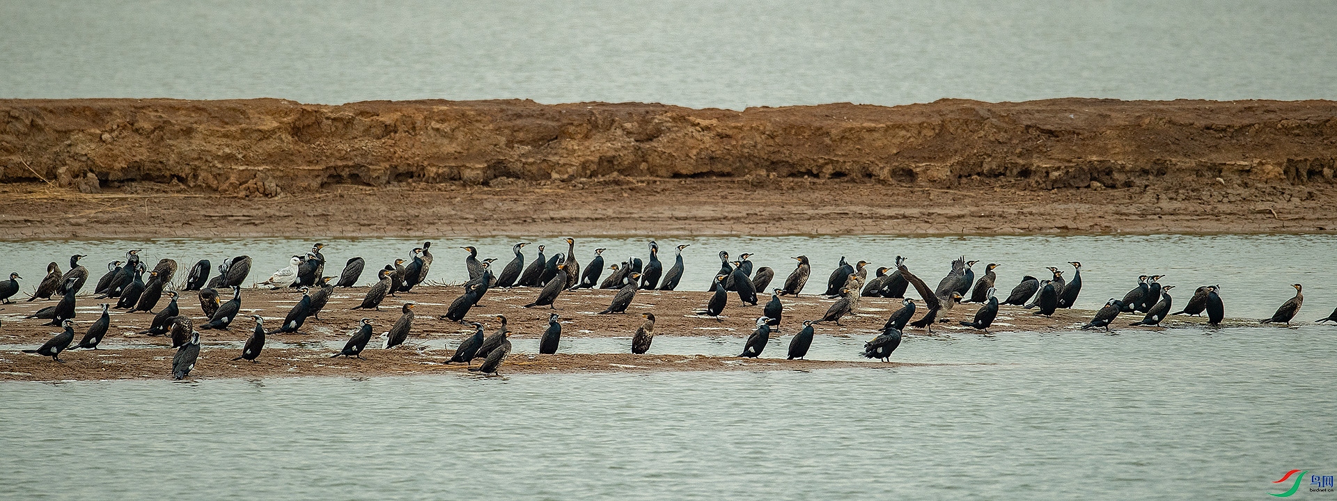 DSC_1016.jpg