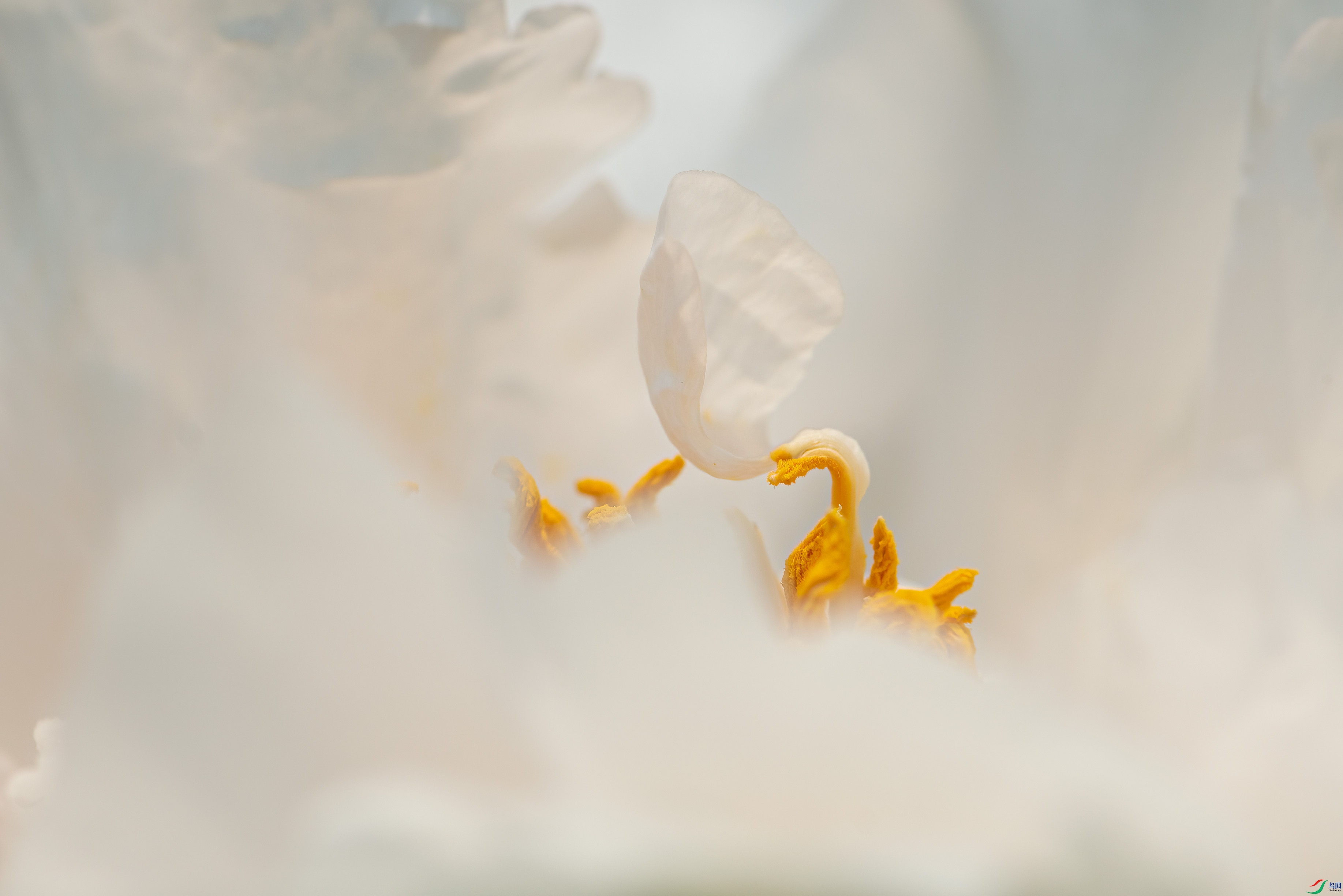 DSC_5987.jpg