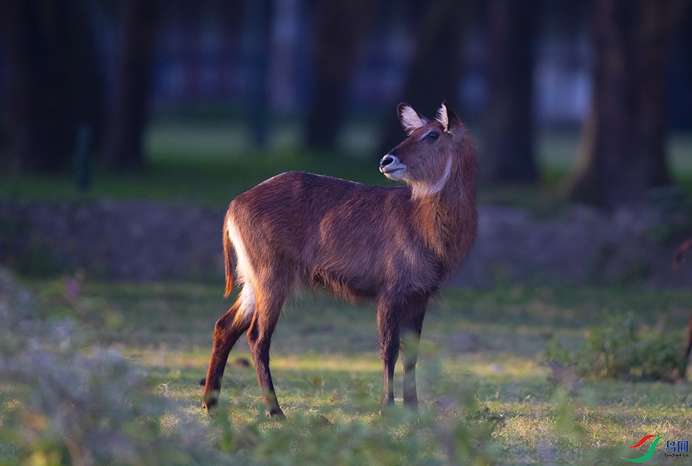 ��ˮ�� (8).jpg