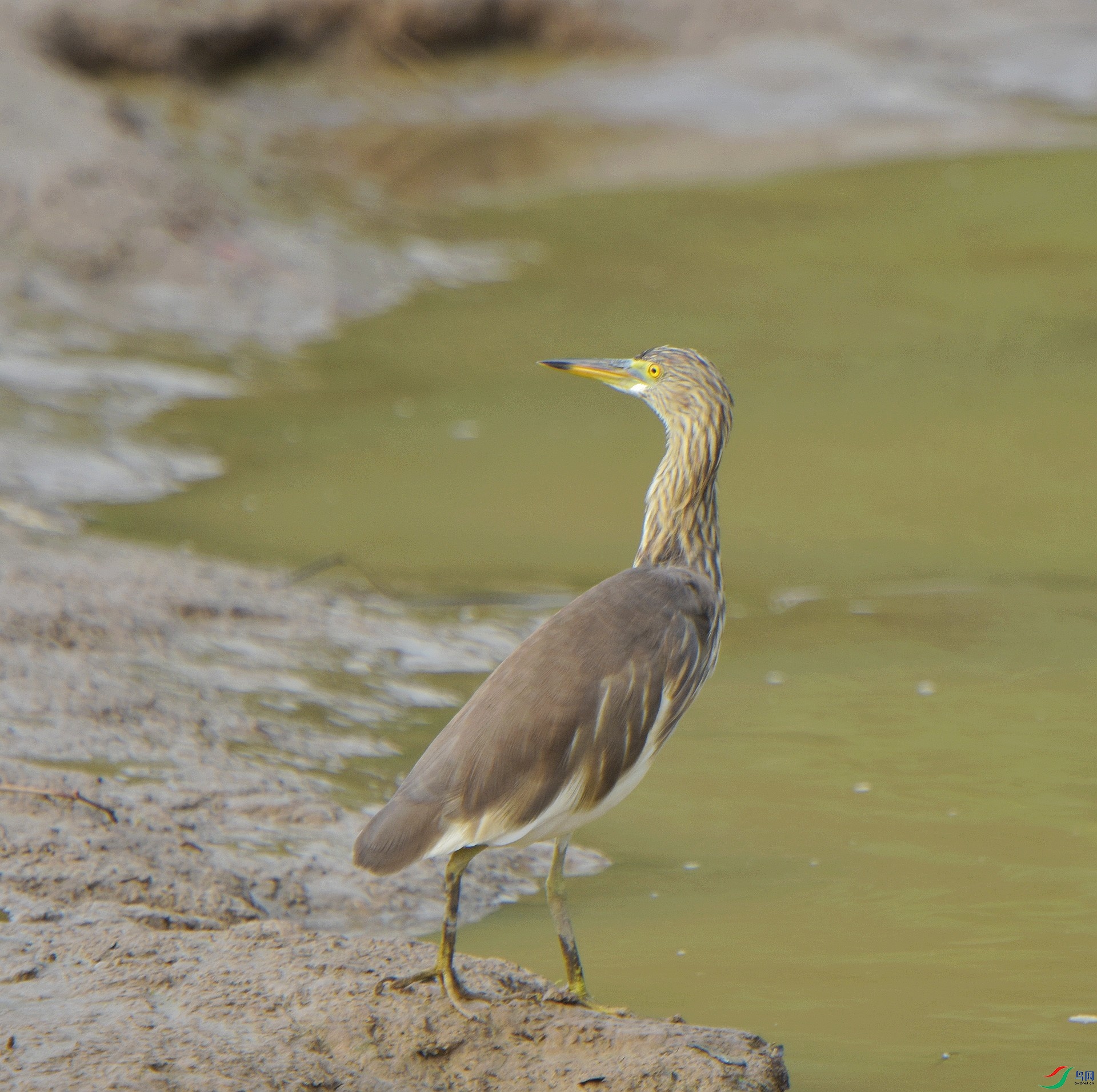 D72_2421.jpg