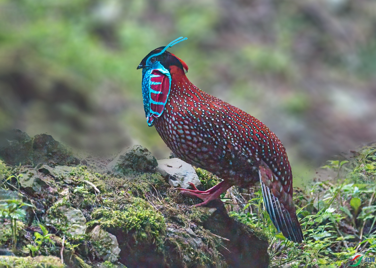 DSC_7216-�ָ���.jpg