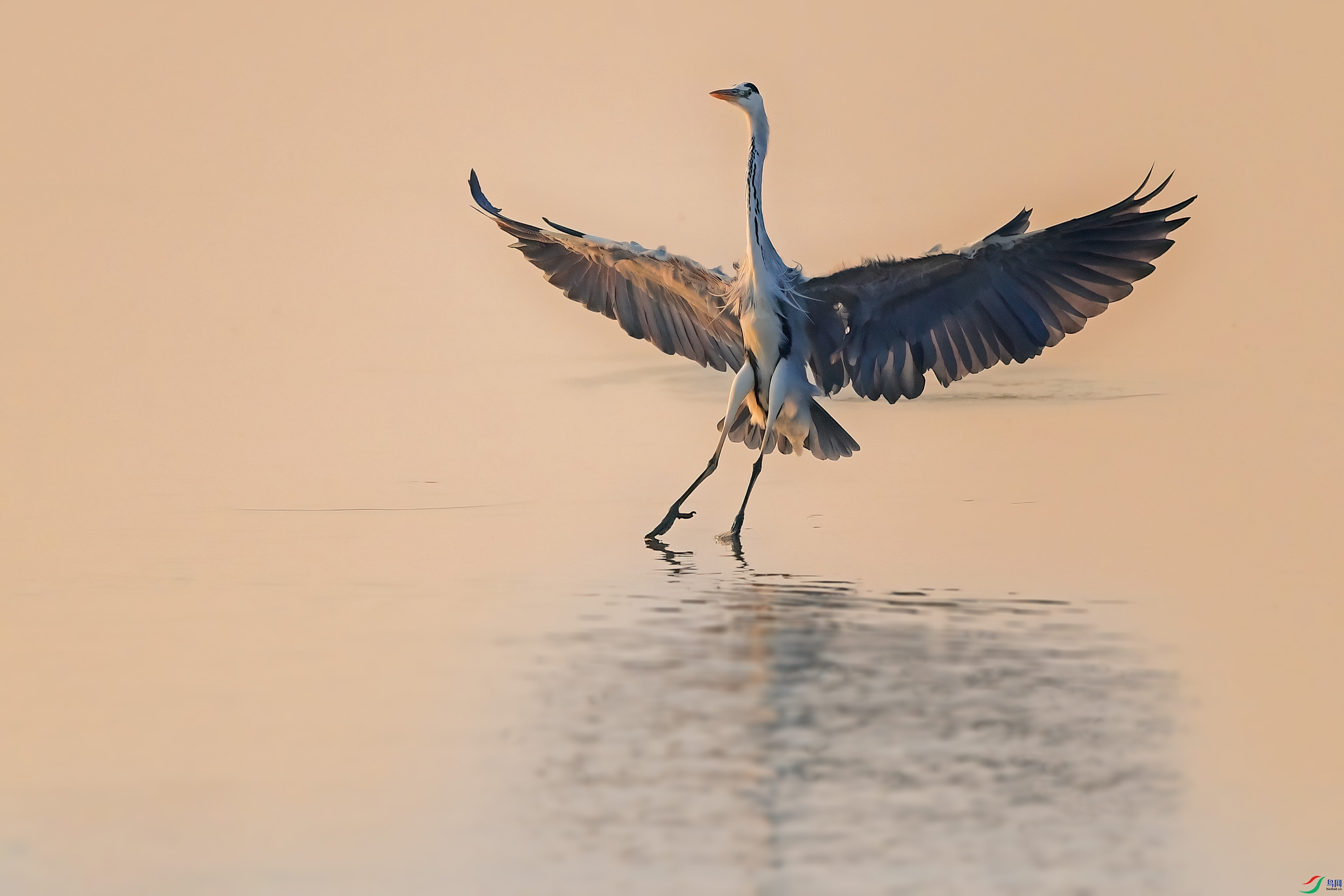 DSC_5476.jpg