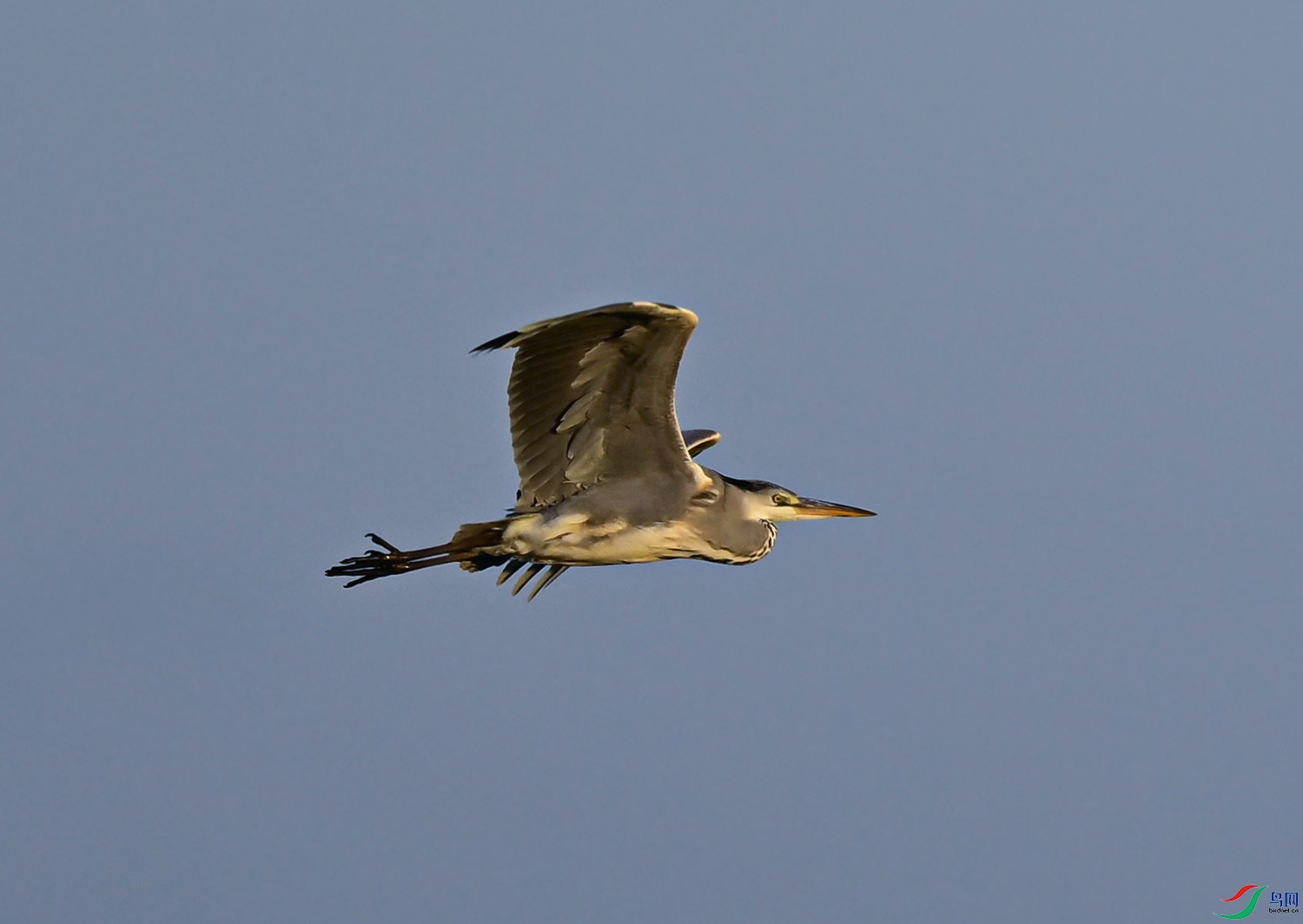 _DSC9657f.jpg