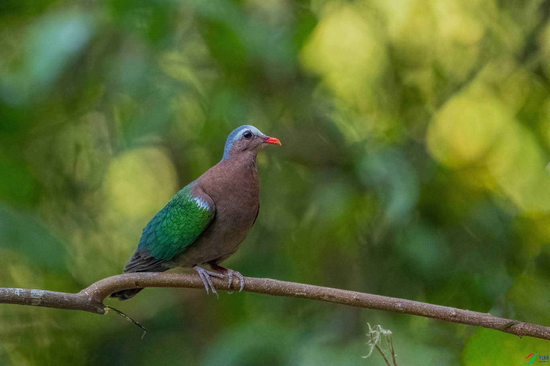 _DSC4677 ����.jpg