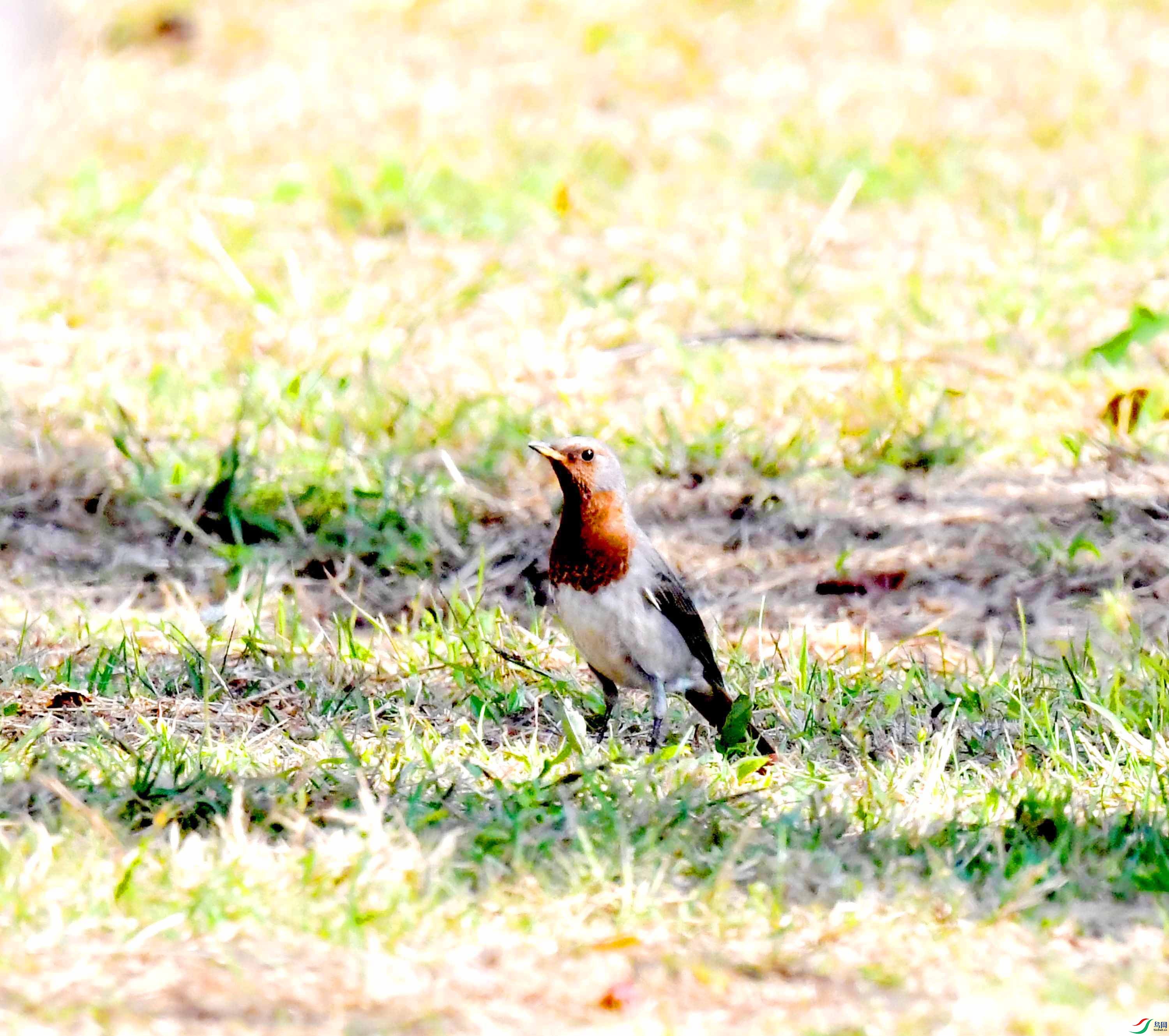 DSC_1967.JPG