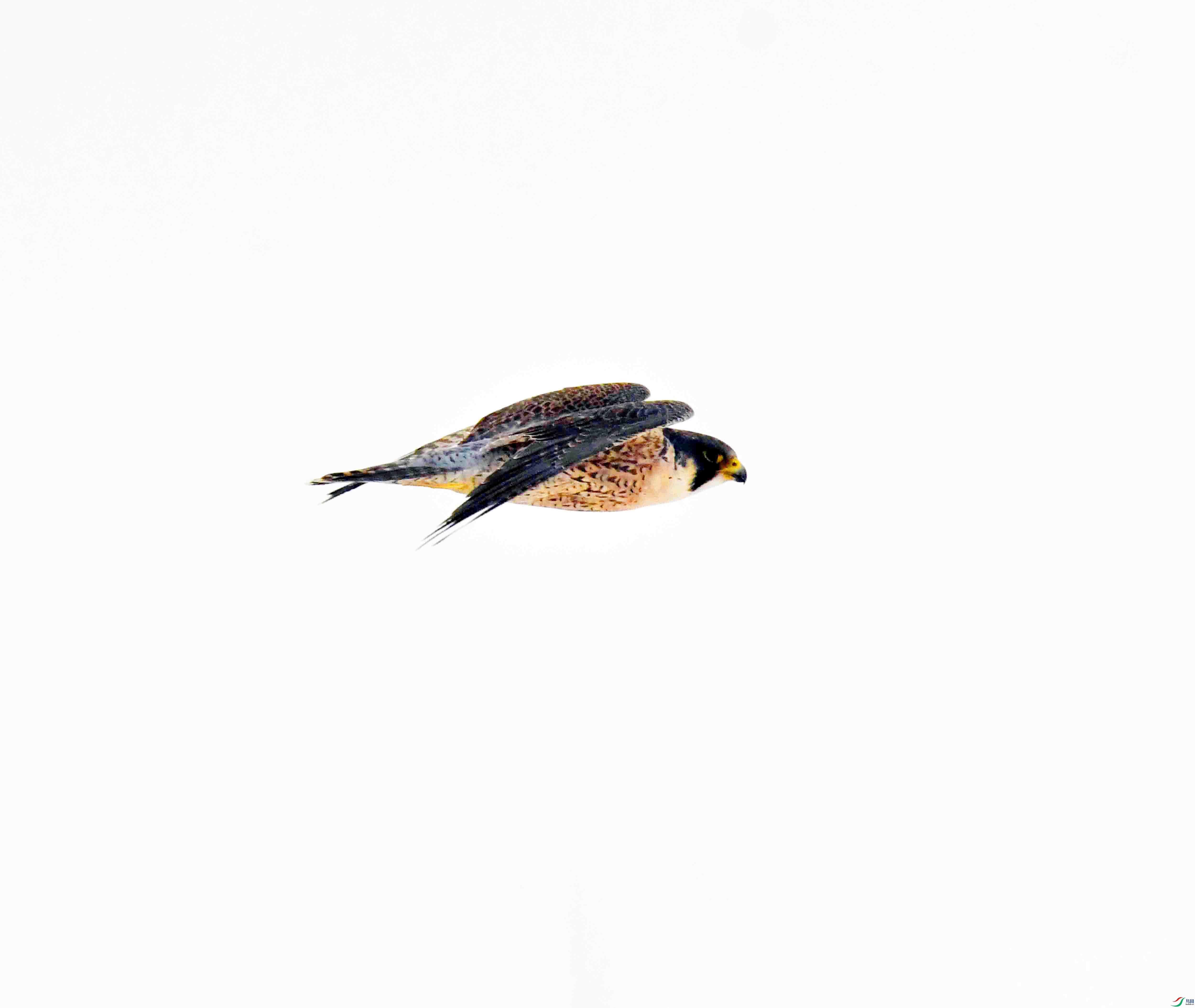 DSC_3834.JPG