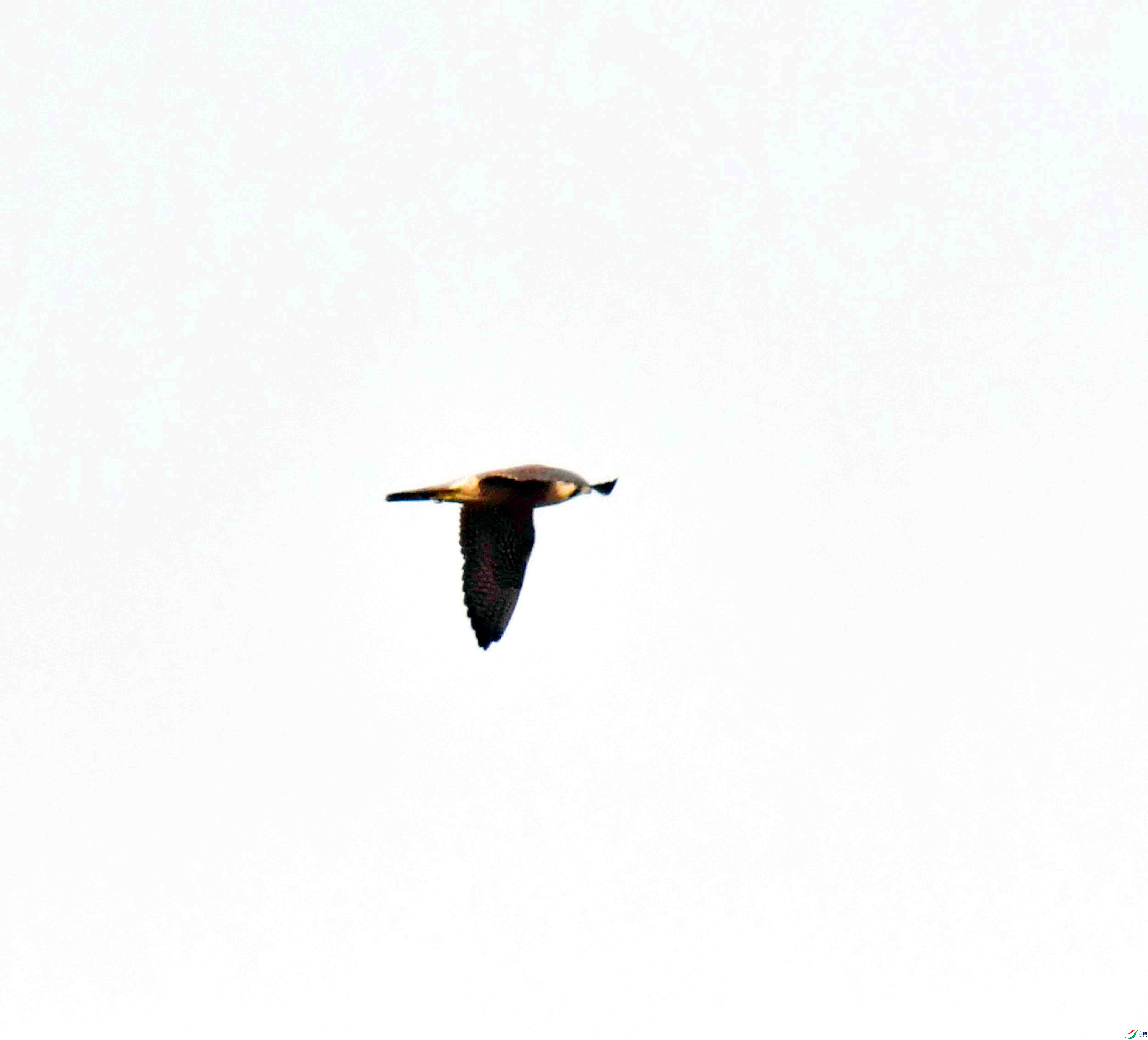 DSC_7491.JPG
