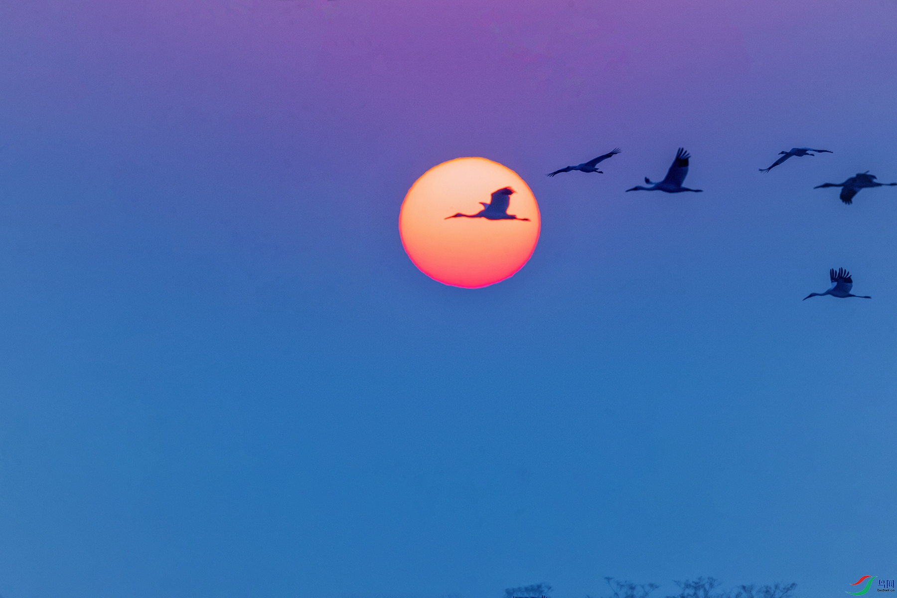 �׺�----�״�����