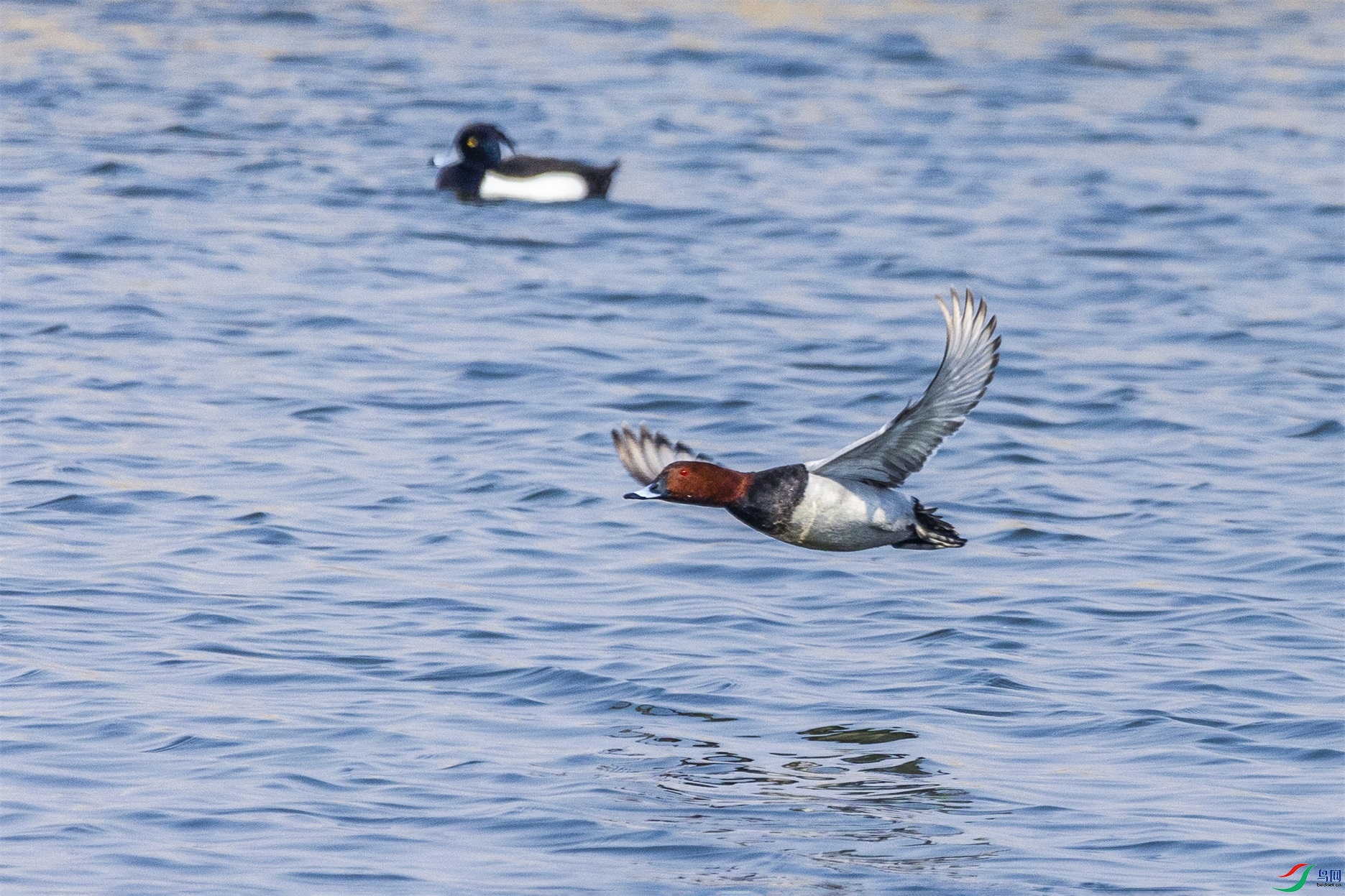 1K3A5422 ����1.jpg