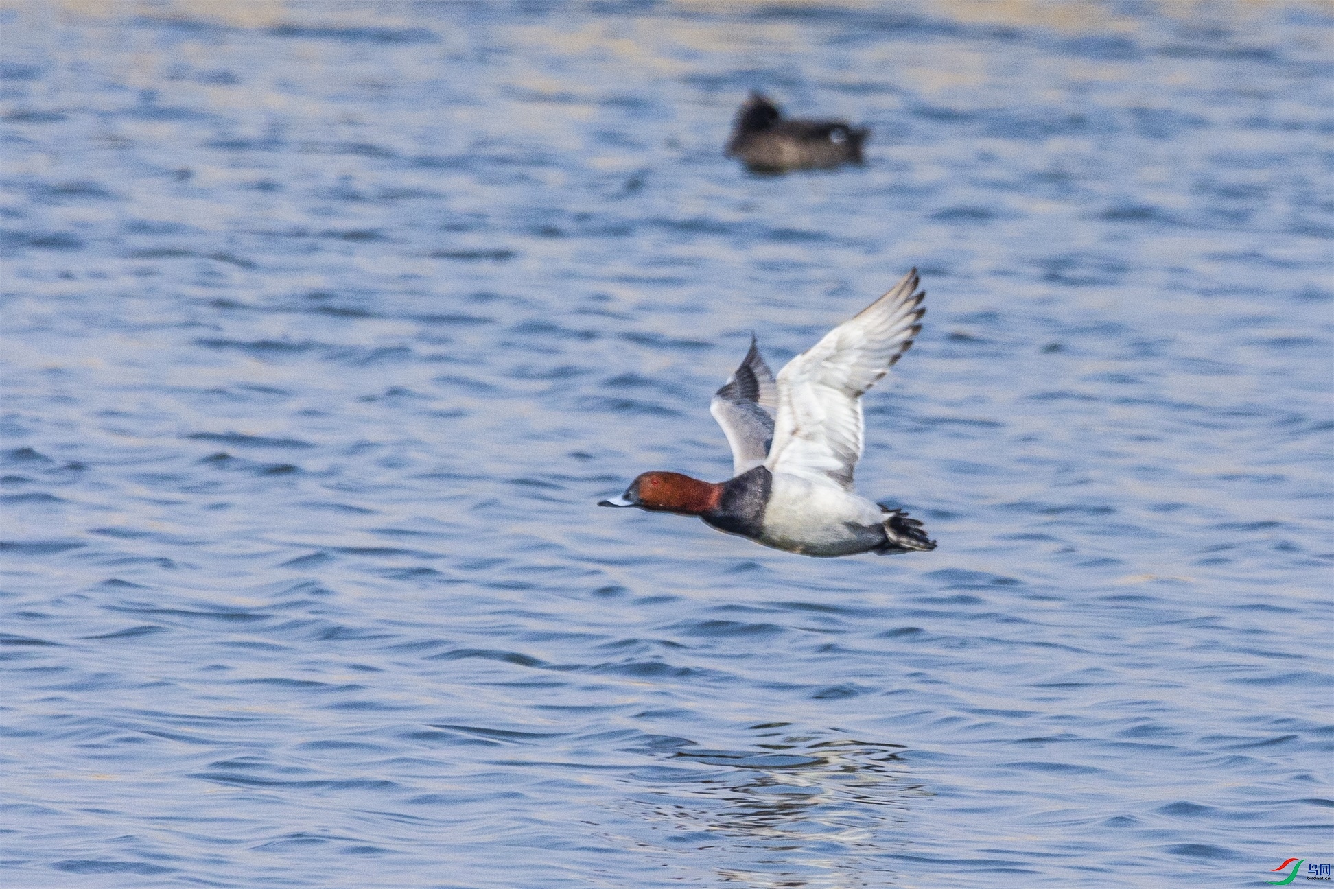 1K3A5425 ����1.jpg