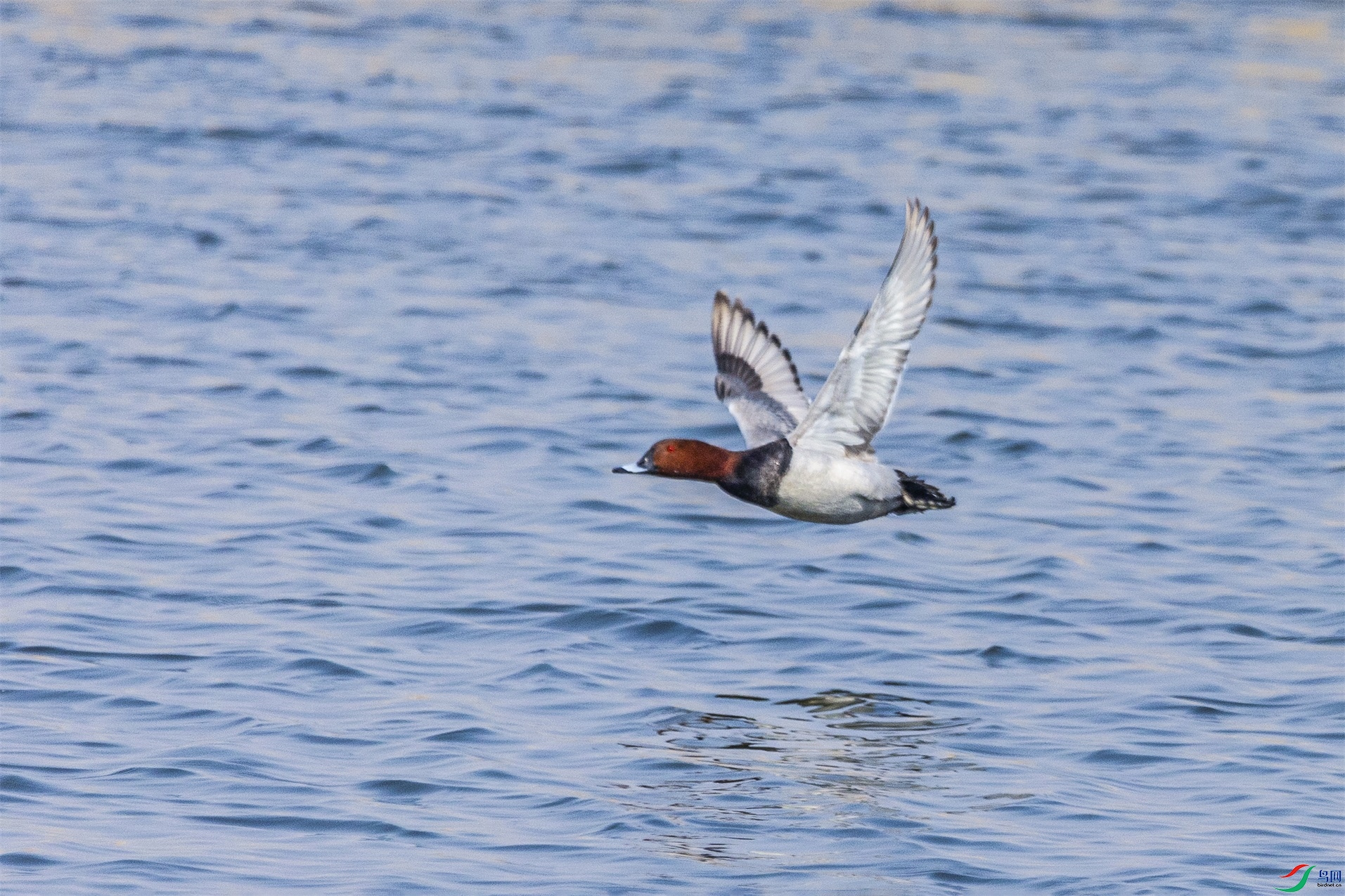 1K3A5427 ����1.jpg