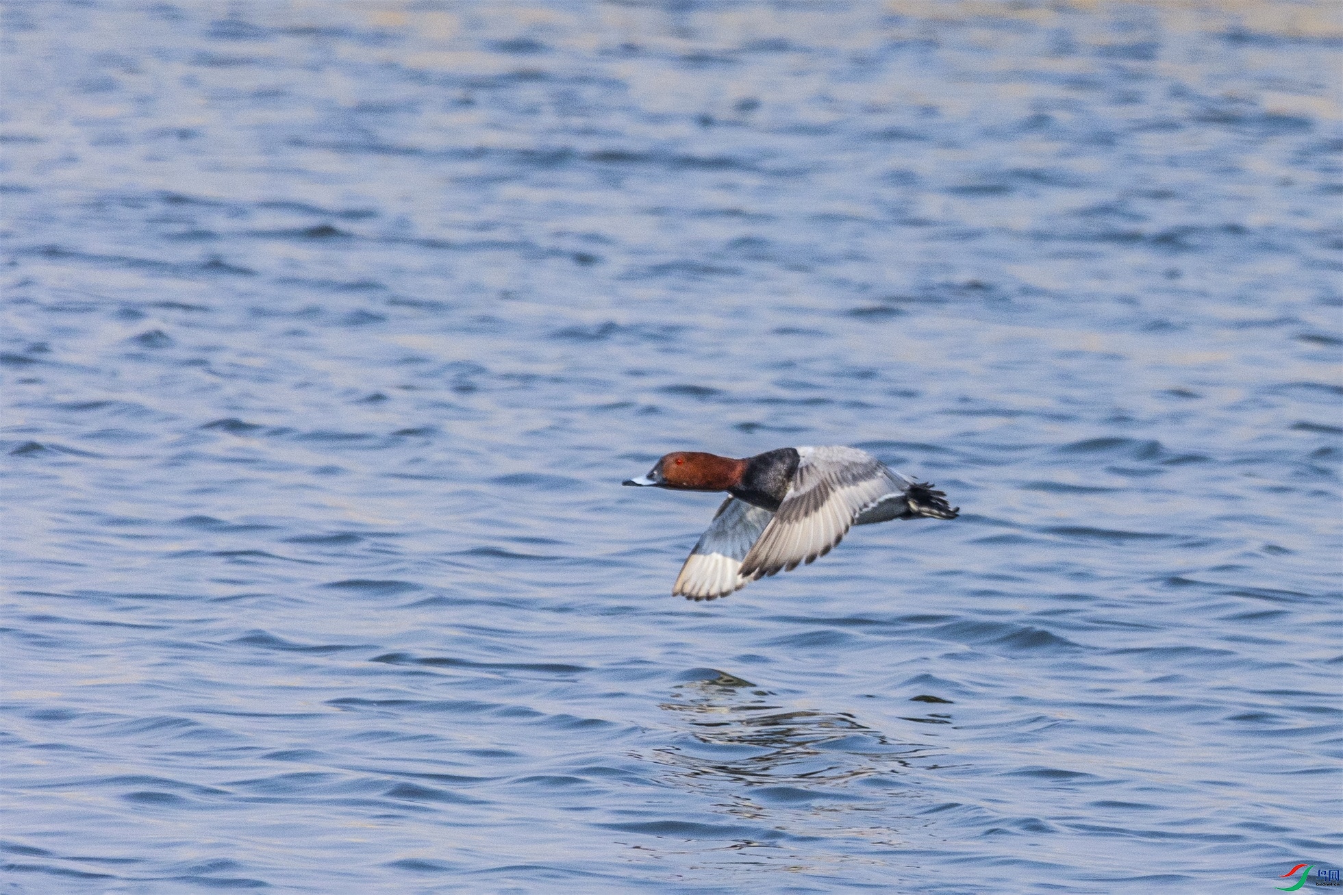 1K3A5428 ����1.jpg