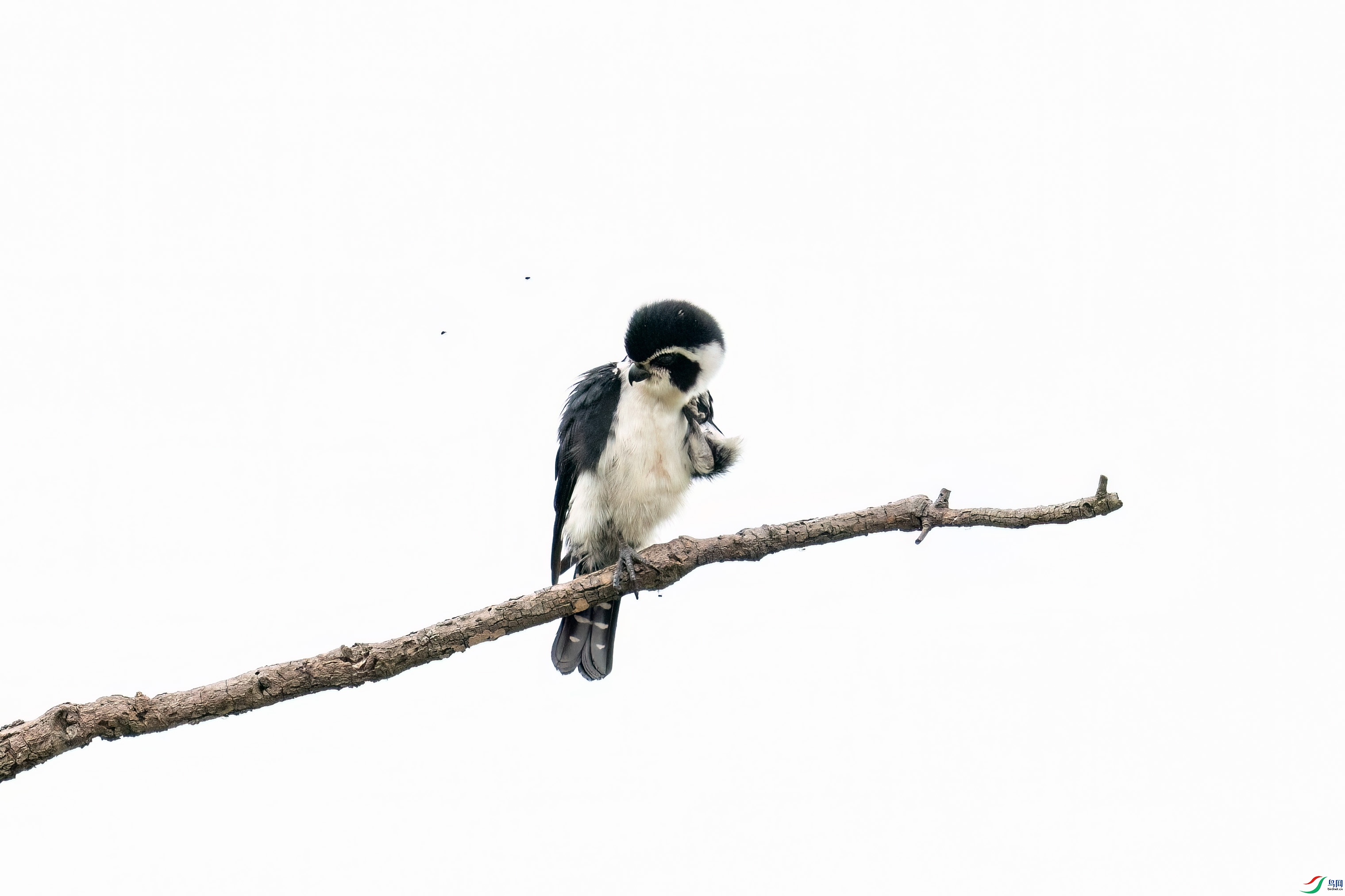 DSC_6430.jpg