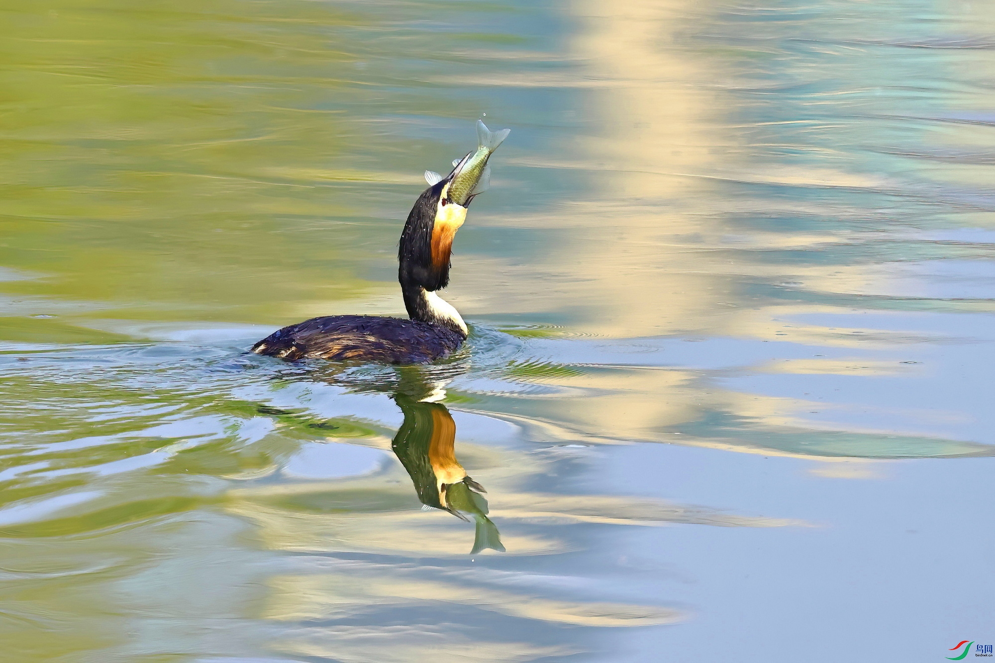 IMG_3663-1.JPG
