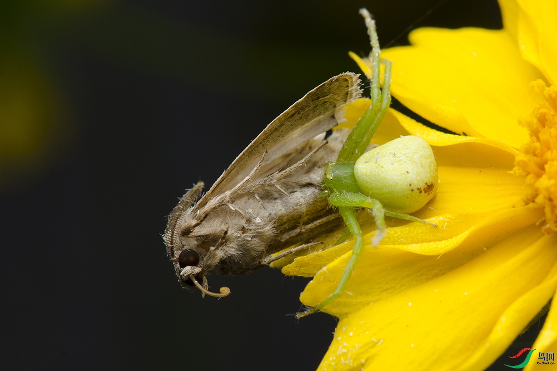 DSC_1891--.jpg