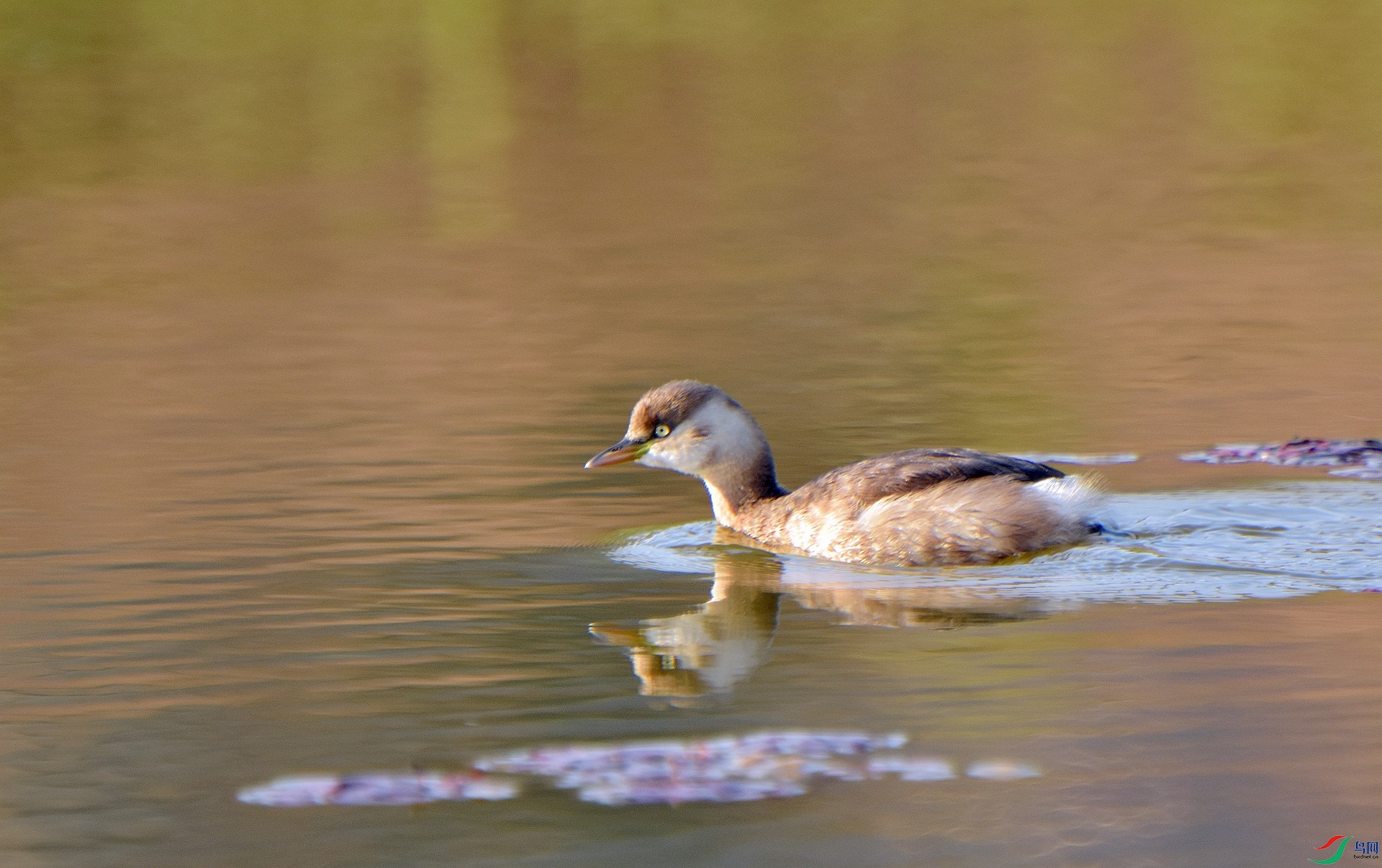 D72_5358.jpg