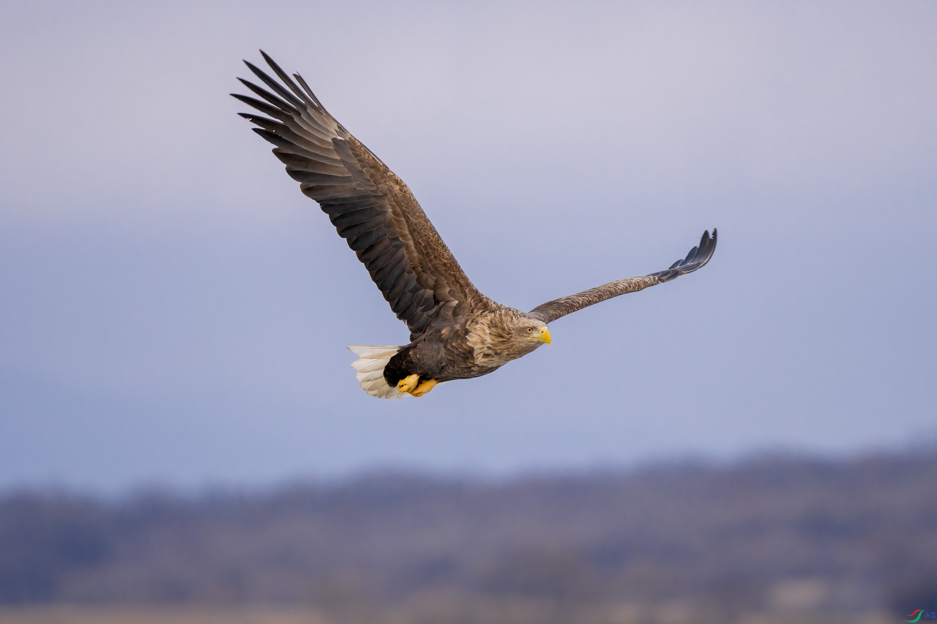 DSC07875 ����.jpg