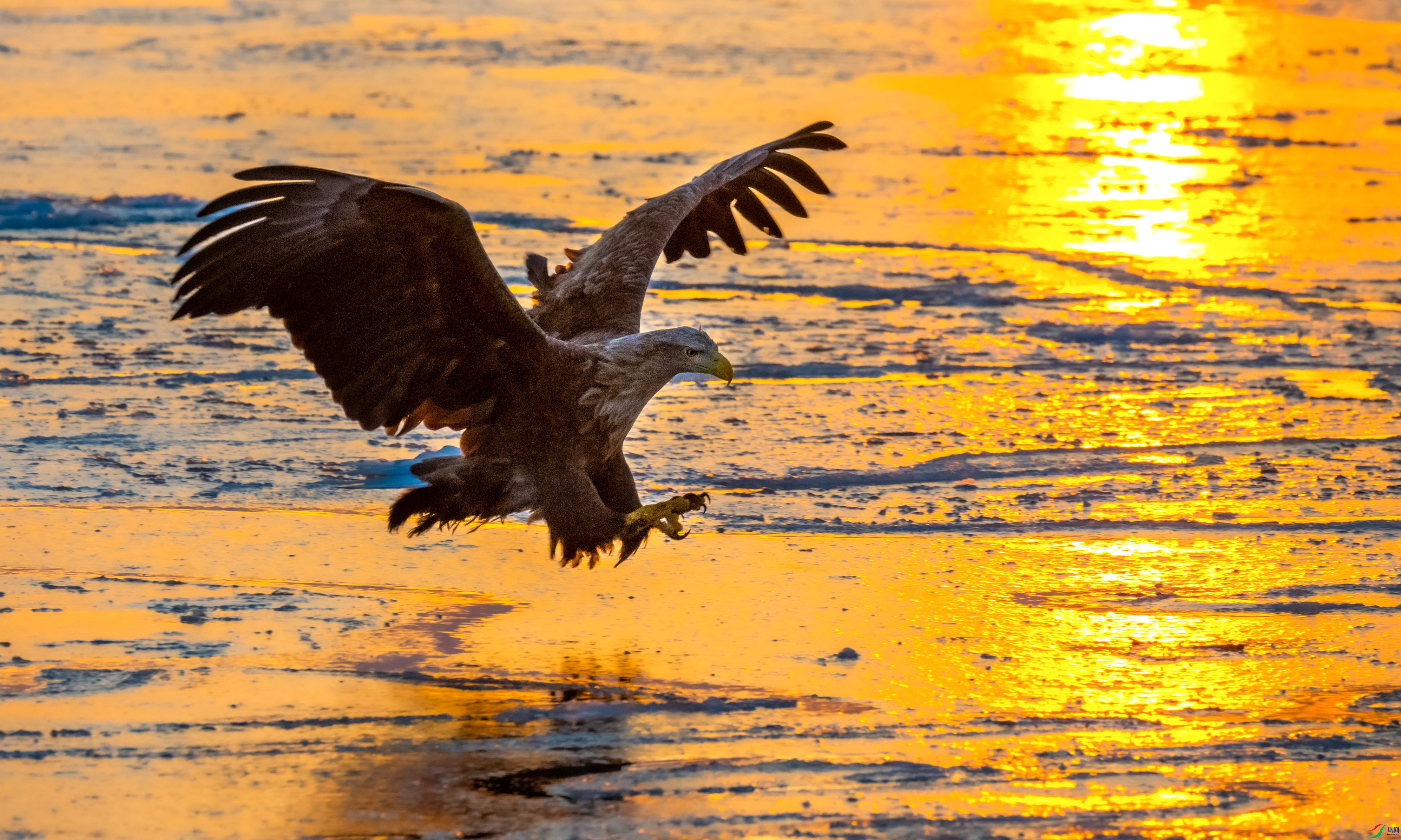 _DSC4057-1_1.jpg