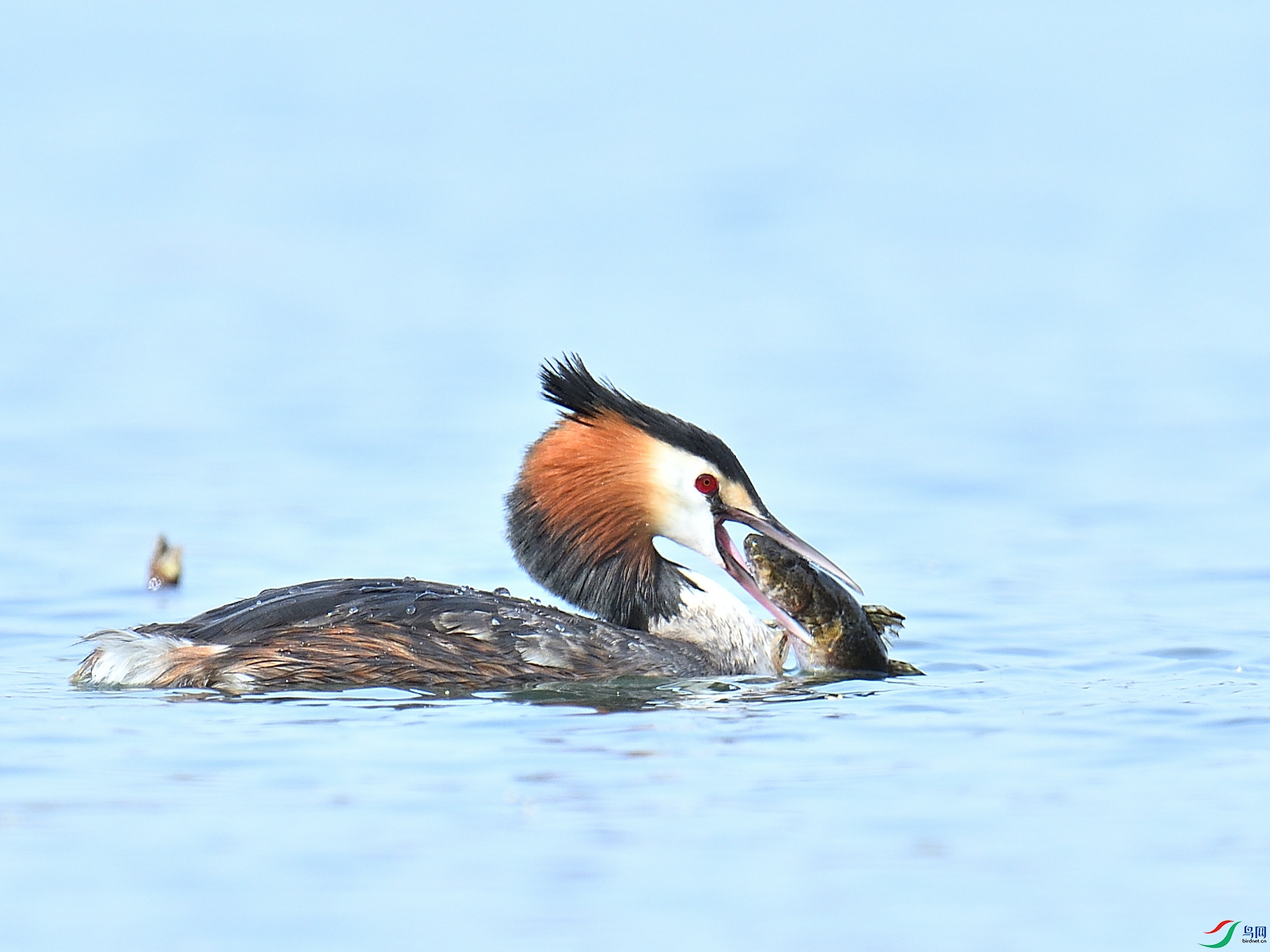 DSC_0351.JPG