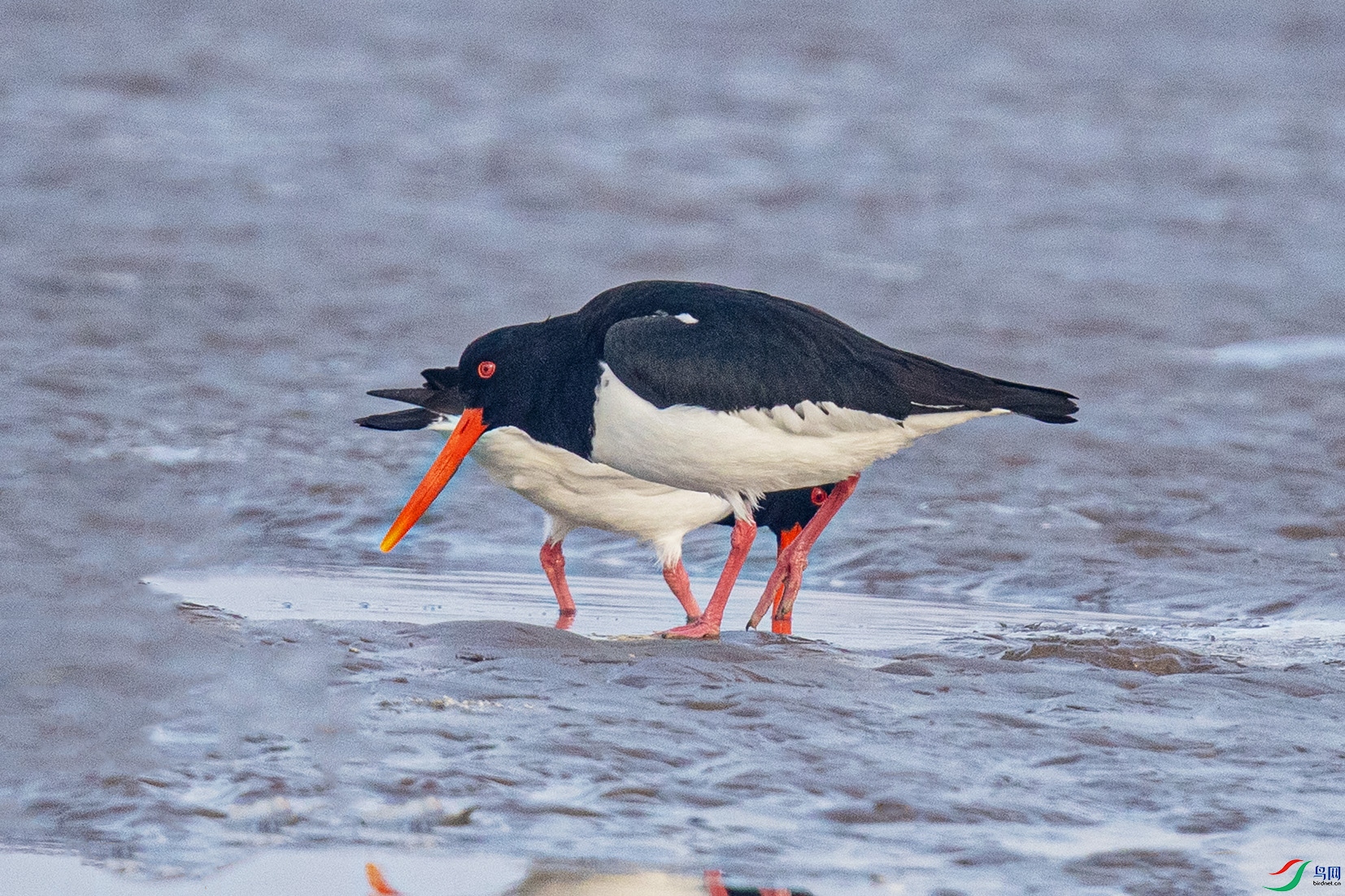 _90I3255 ����.jpg