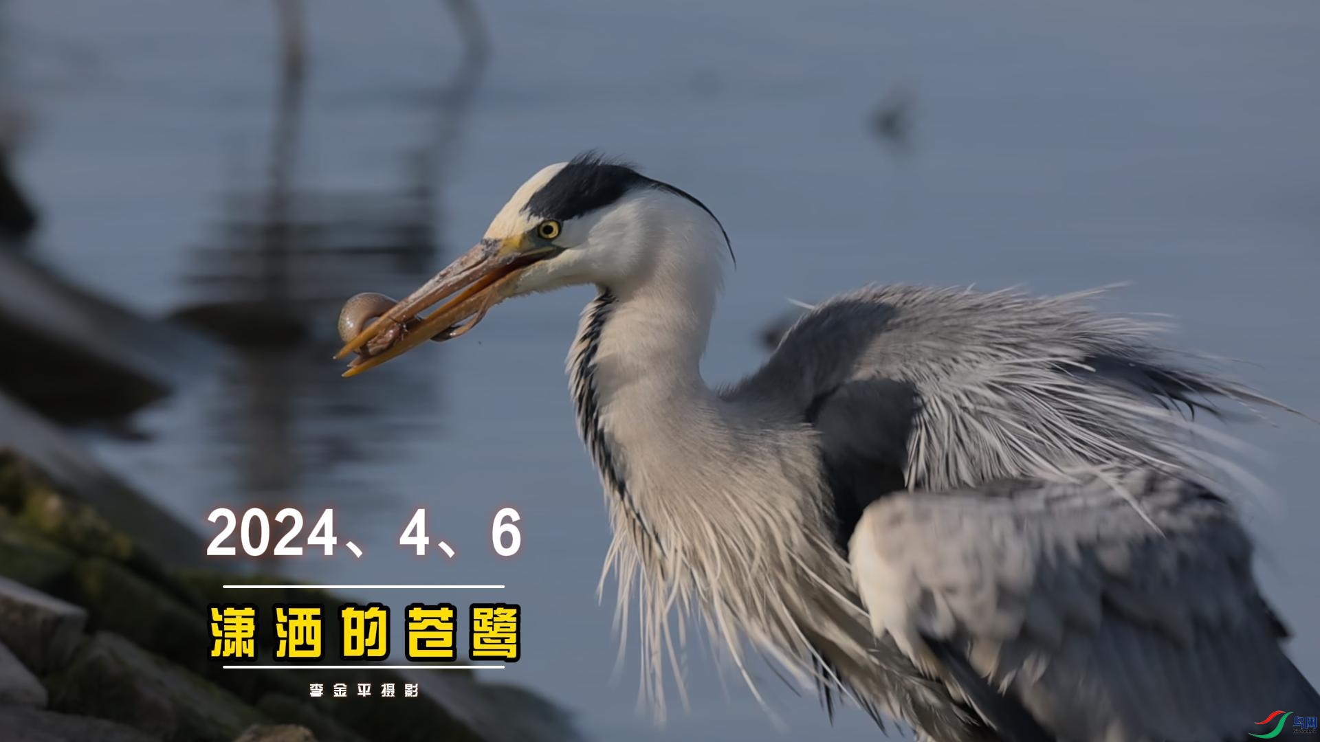 4�º�ˮ��--����-����.jpg