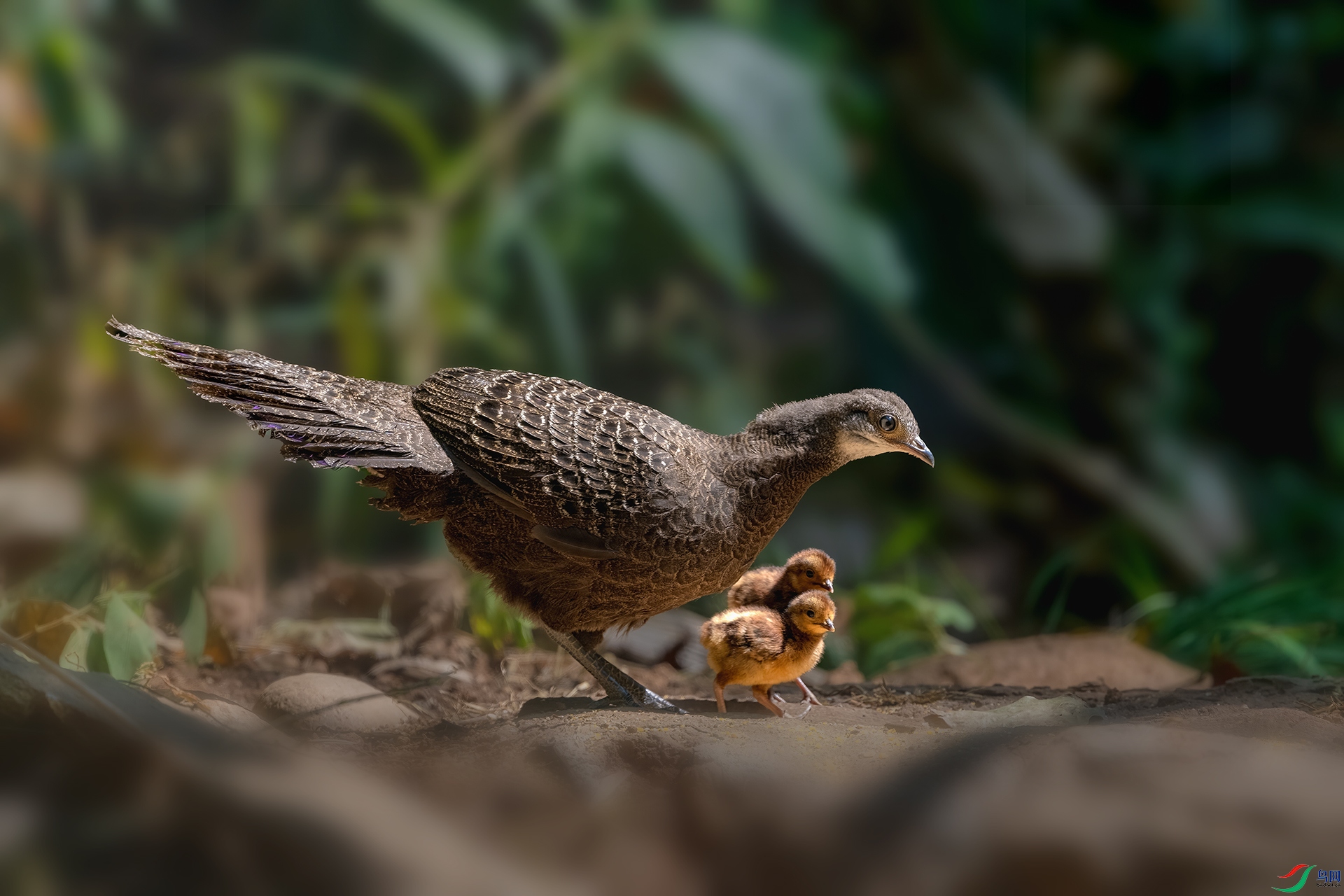 _DSC1362 ����.jpg