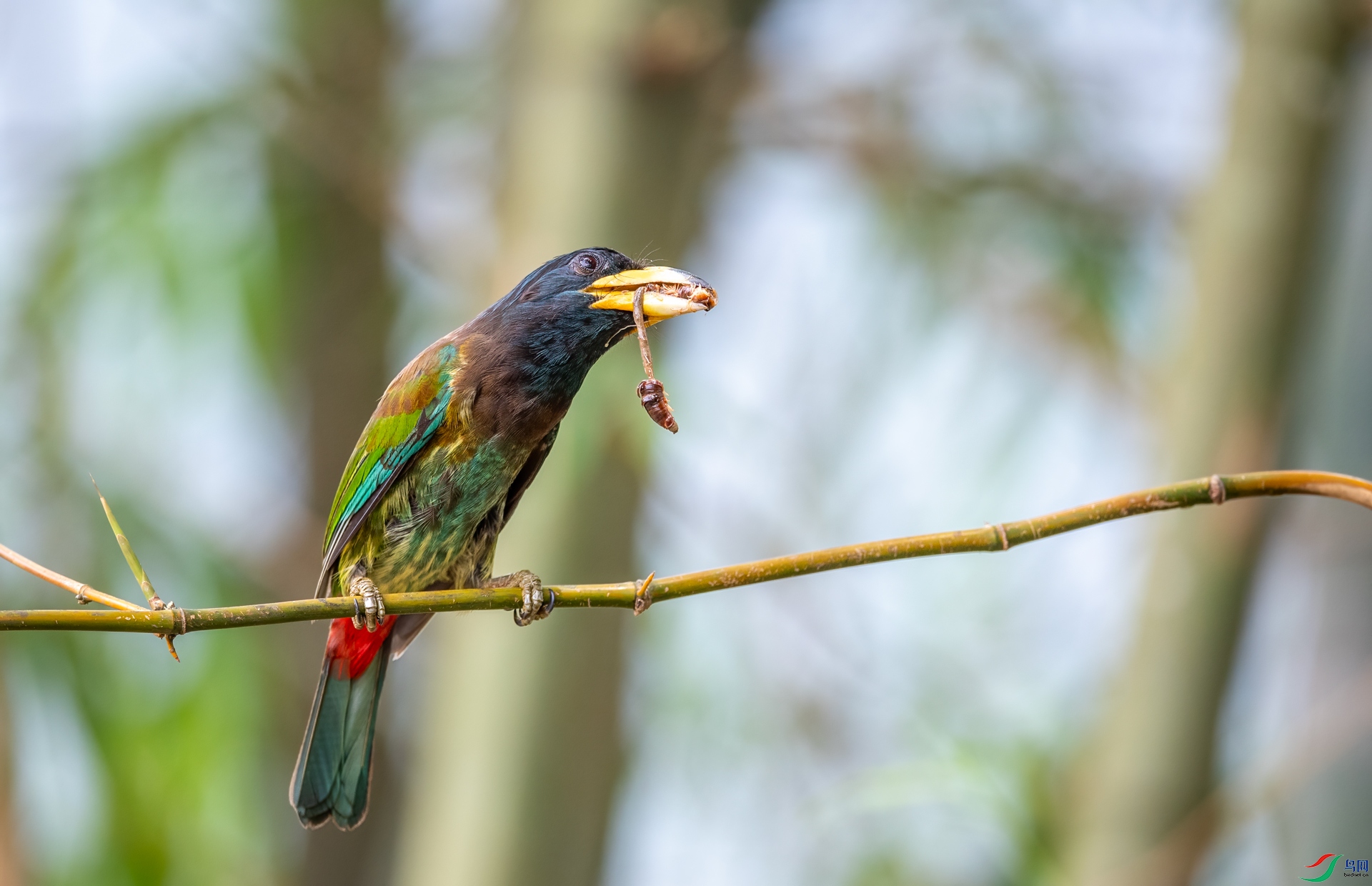 DSC_9711.jpg