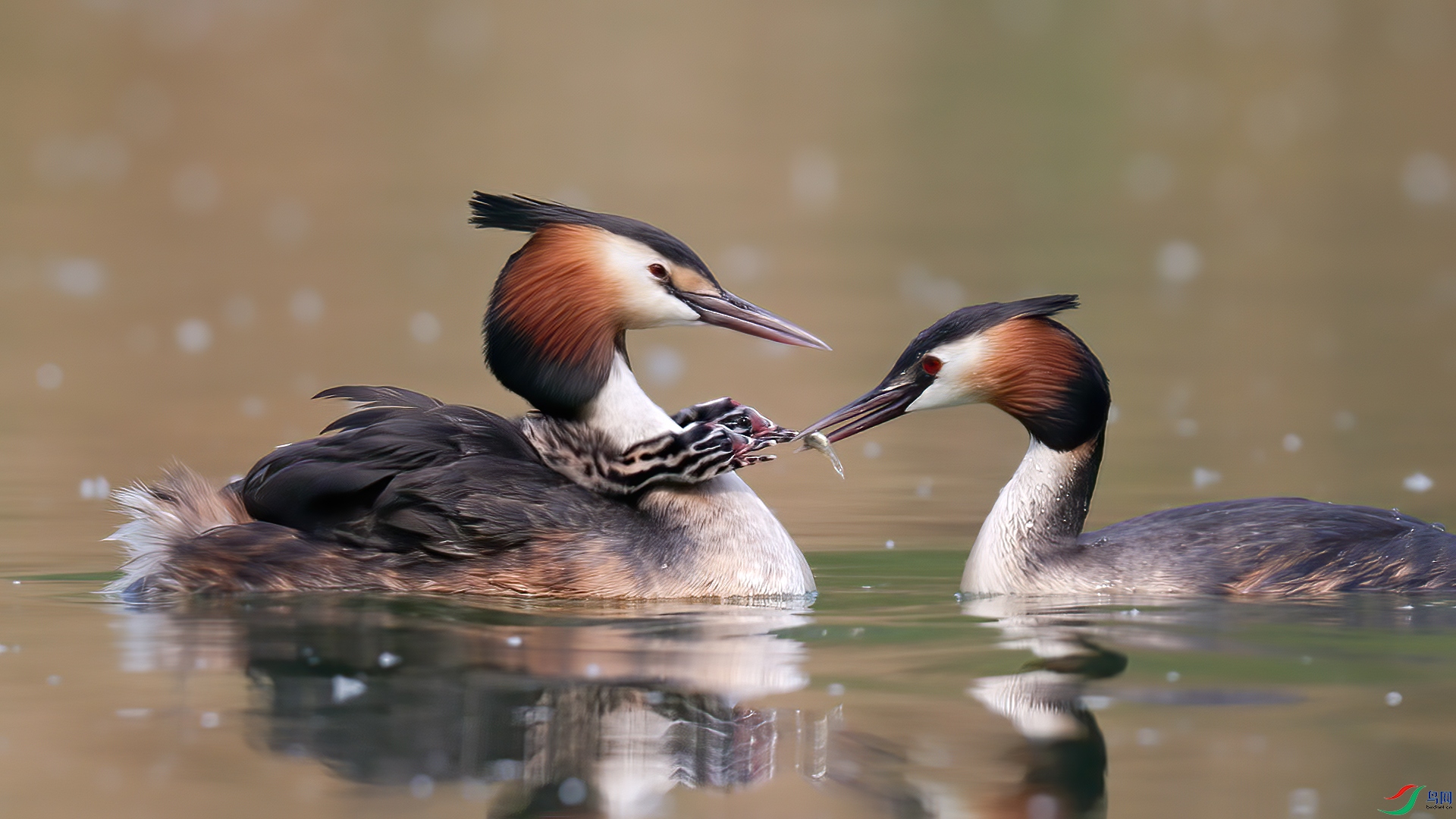 δ����_1.1.1.jpg