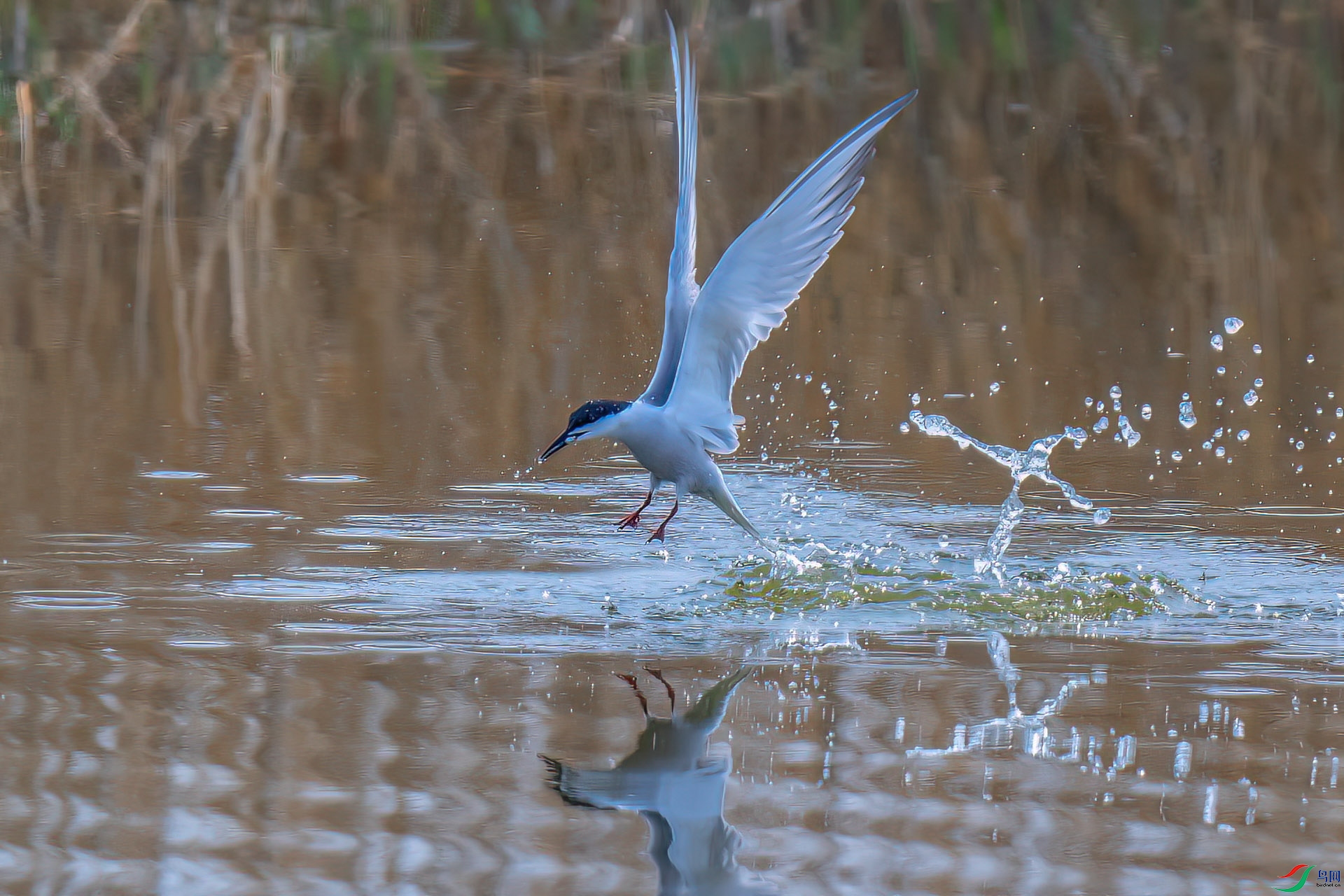 DSC_3193.jpg
