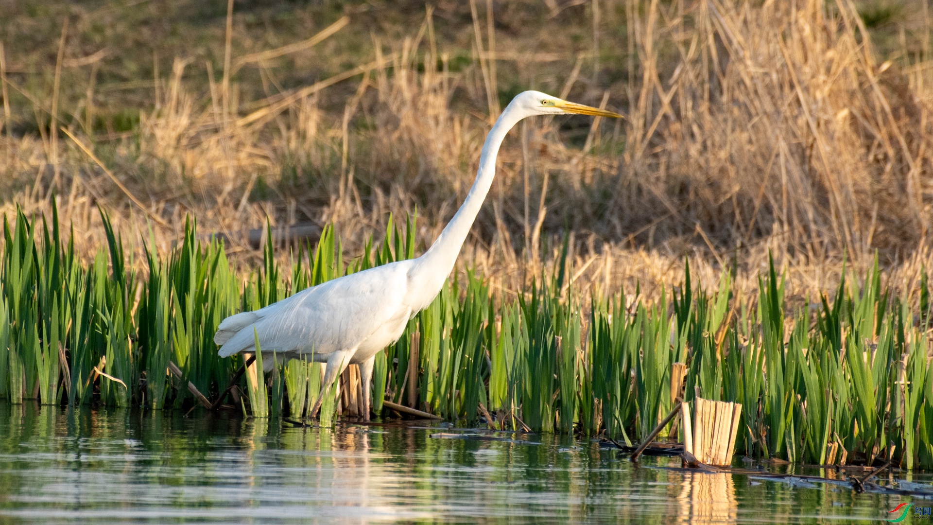 DSC_6835.jpg