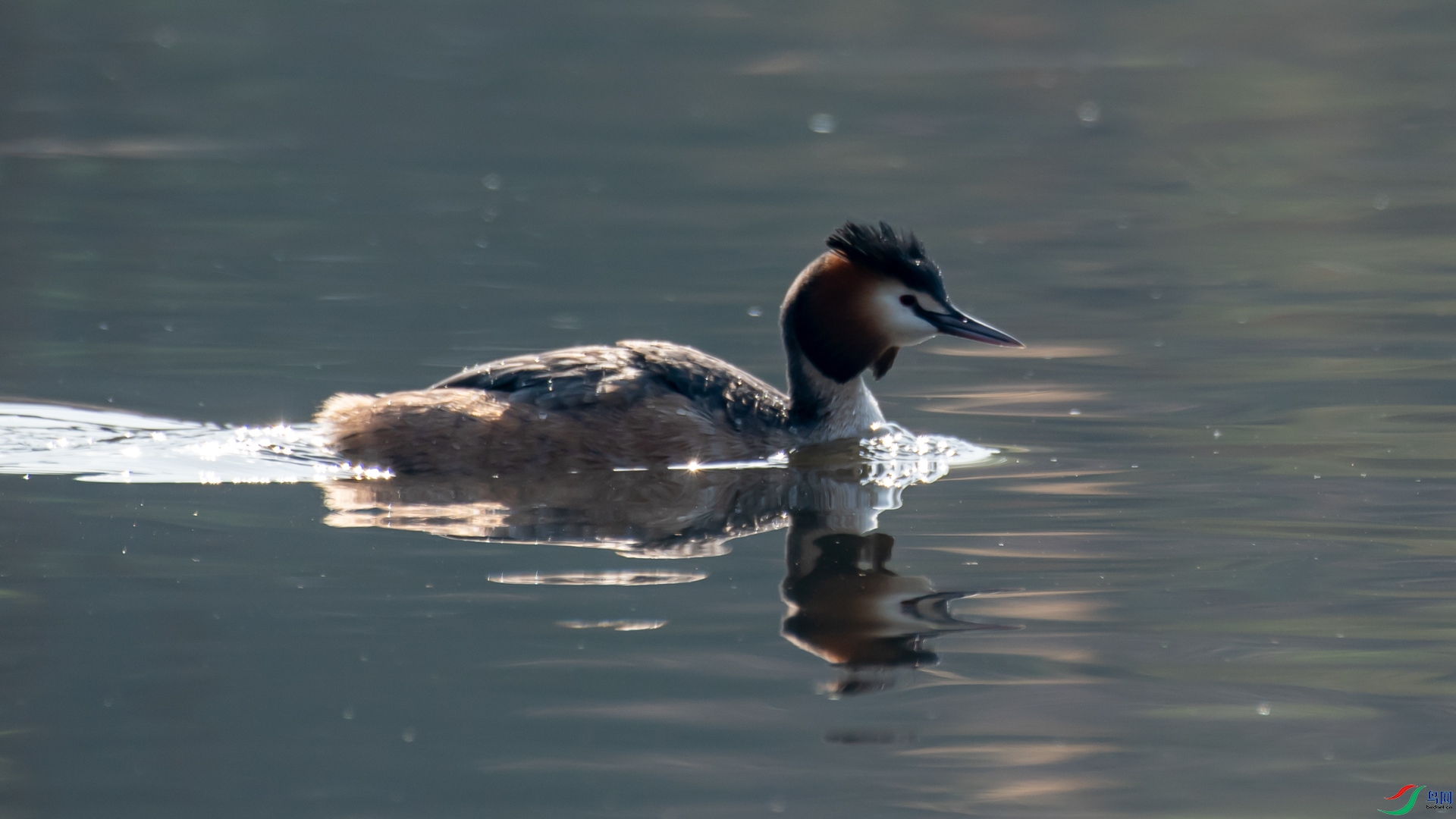 DSC_6220.jpg